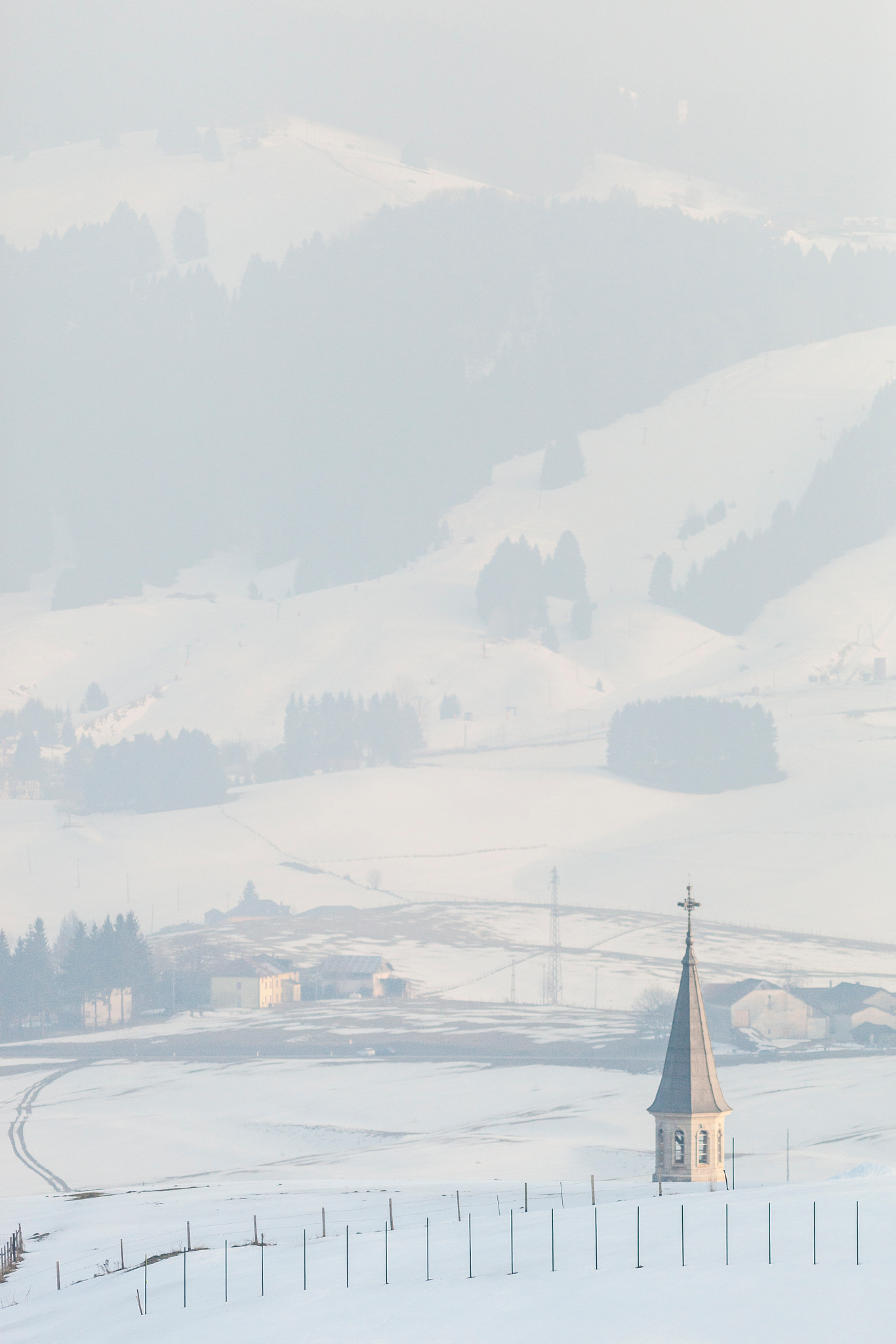Canon EF 300mm F4L IS USM sample photo. Under the snow photography