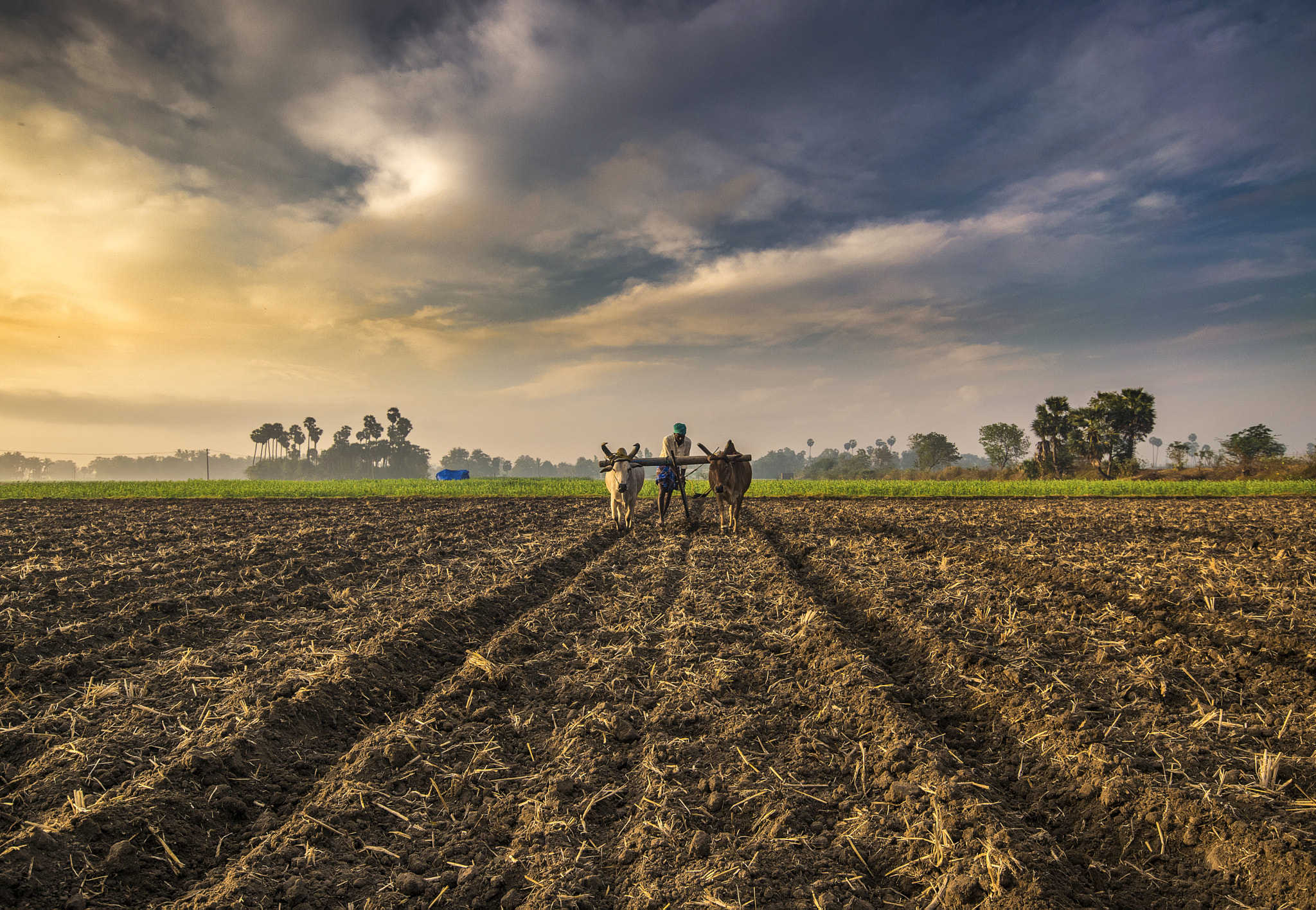 Sigma 10-20mm F4-5.6 EX DC HSM sample photo. Farming - india photography