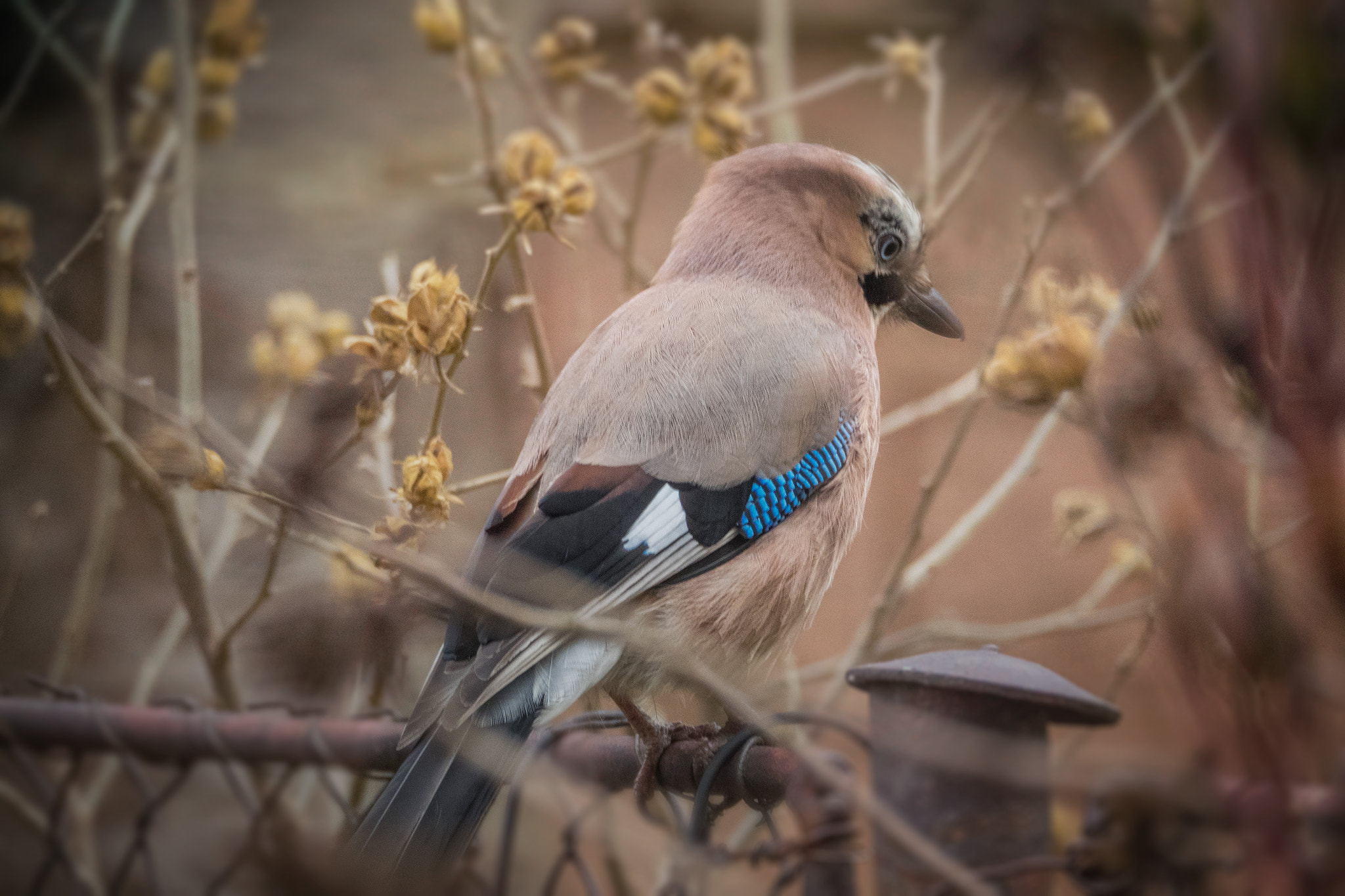 Olympus OM-D E-M1 sample photo. Thoughtful photography