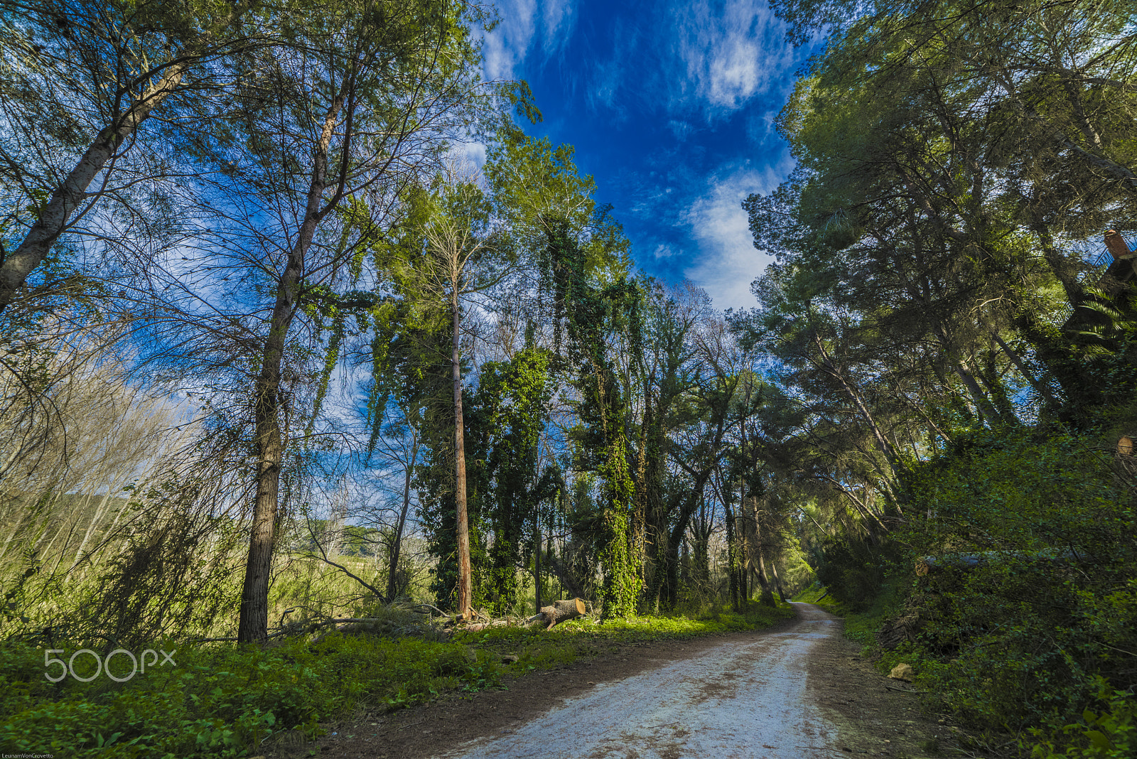Samyang 14mm F2.8 ED AS IF UMC sample photo. Happiness road photography