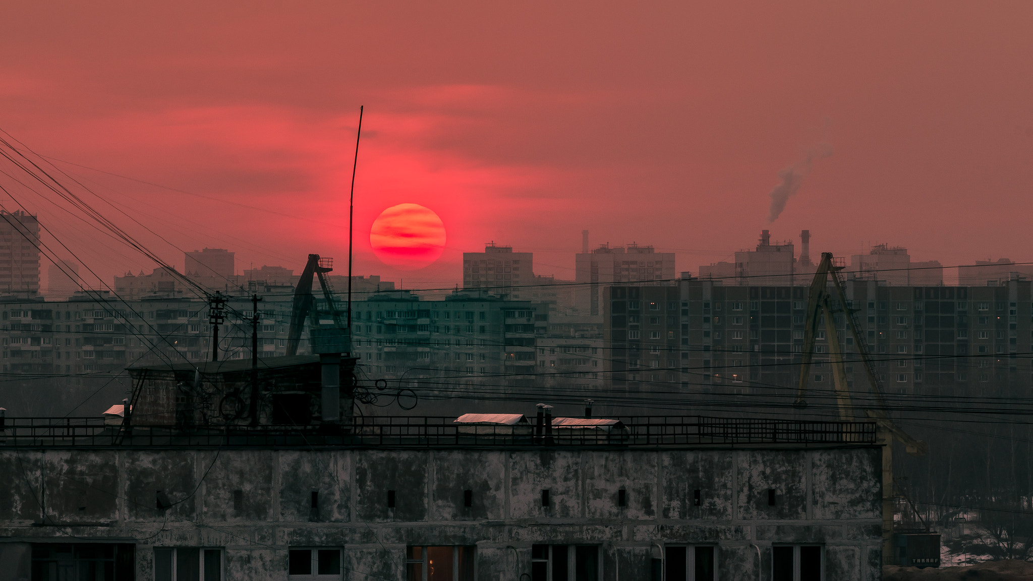 Canon EOS 70D + Canon EF 70-200mm F4L USM sample photo. *** photography