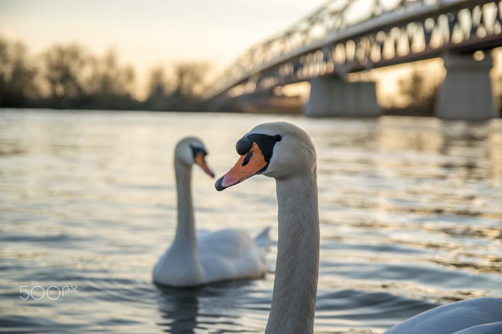 Sigma 17-50mm F2.8 EX DC OS HSM sample photo. Portrait with a friend photography