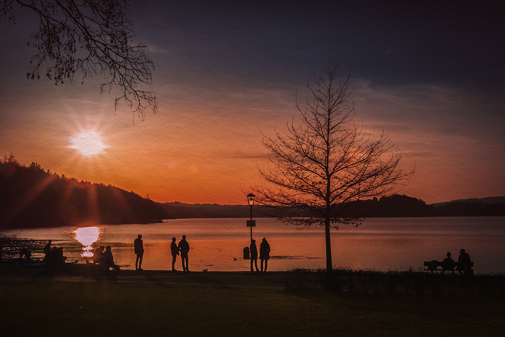 Sigma 18-200mm f/3.5-6.3 DC OS sample photo. Evening sun photography