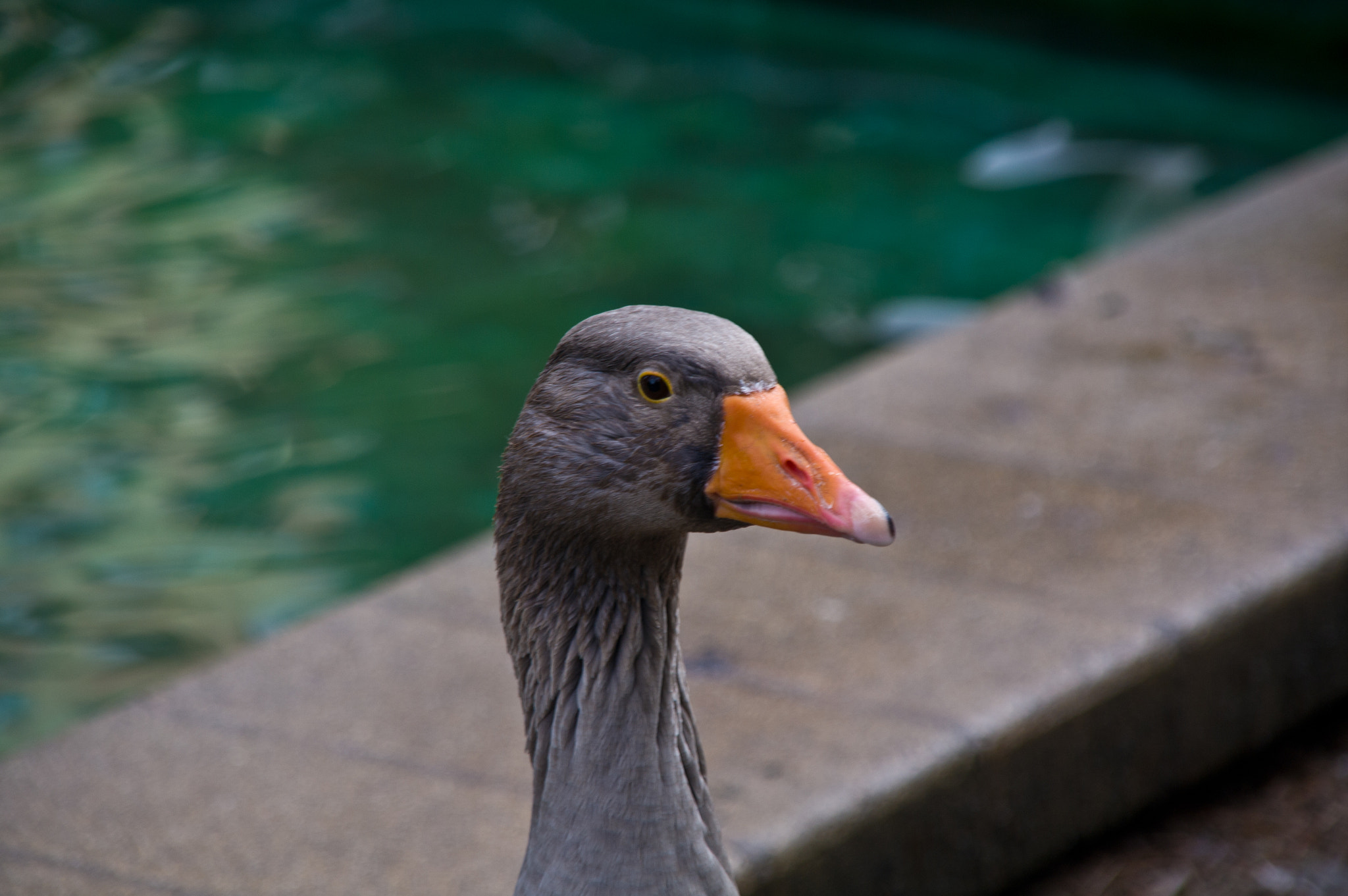 Pentax K-7 + Sigma sample photo