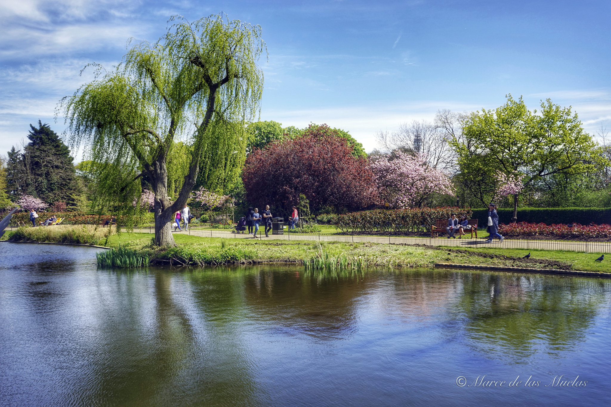 Sony a7R sample photo. The regent´s park london photography