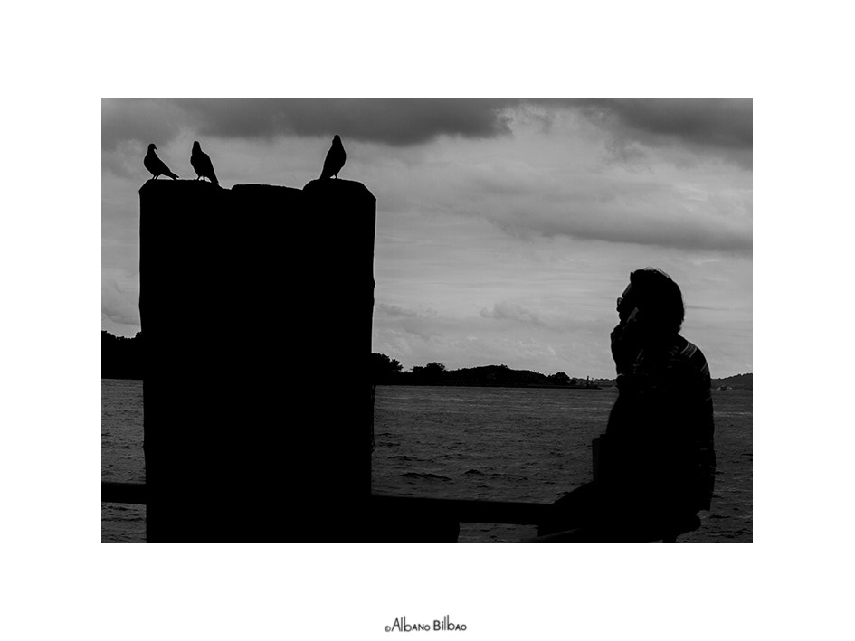 Canon EF 24-70mm F4L IS USM sample photo. Contemplando las palomas. photography