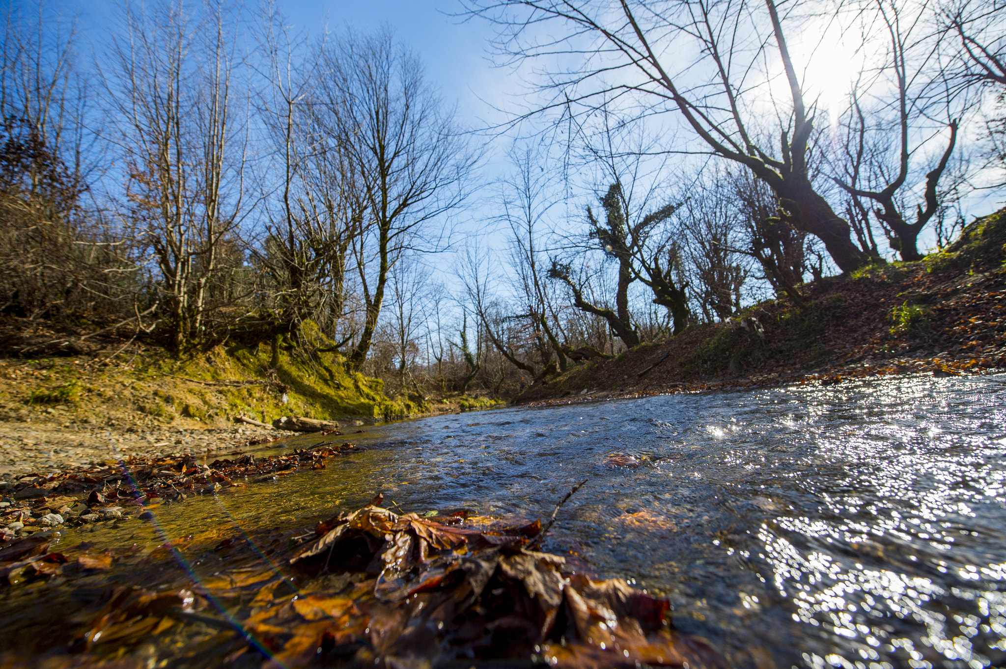 Nikon D4S sample photo. Earth nature photography