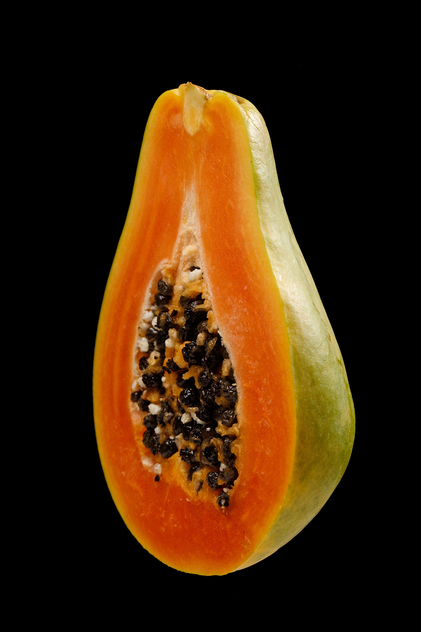 Sigma 105mm F2.8 EX DG OS HSM sample photo. Papaya photography