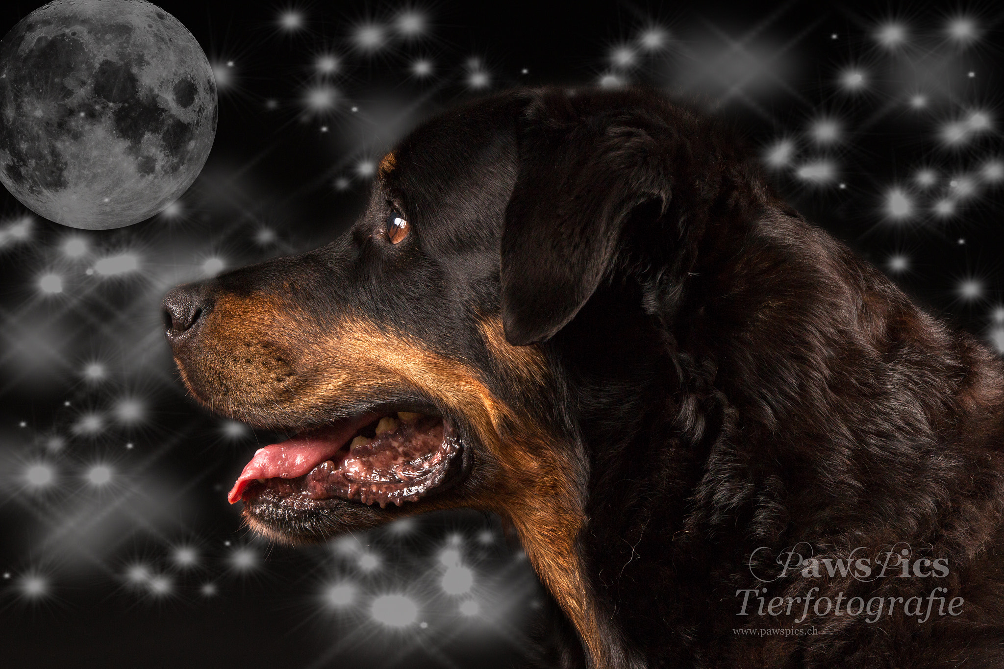 Canon EOS 70D + Canon EF 70-200mm F4L IS USM sample photo. Jason's moon photography