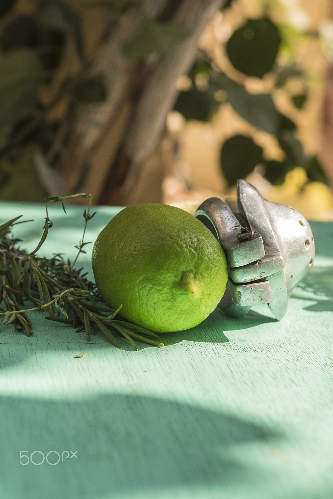 Fujifilm X-E2 + ZEISS Touit 32mm F1.8 sample photo. Citron photography