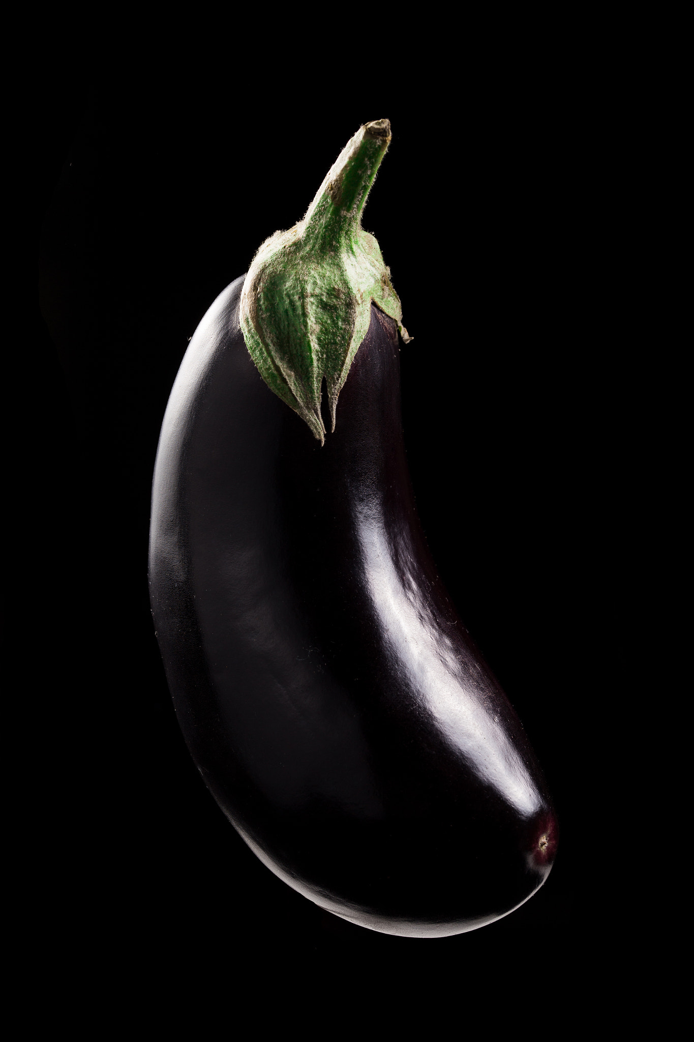 Sigma 105mm F2.8 EX DG OS HSM sample photo. Eggplant photography