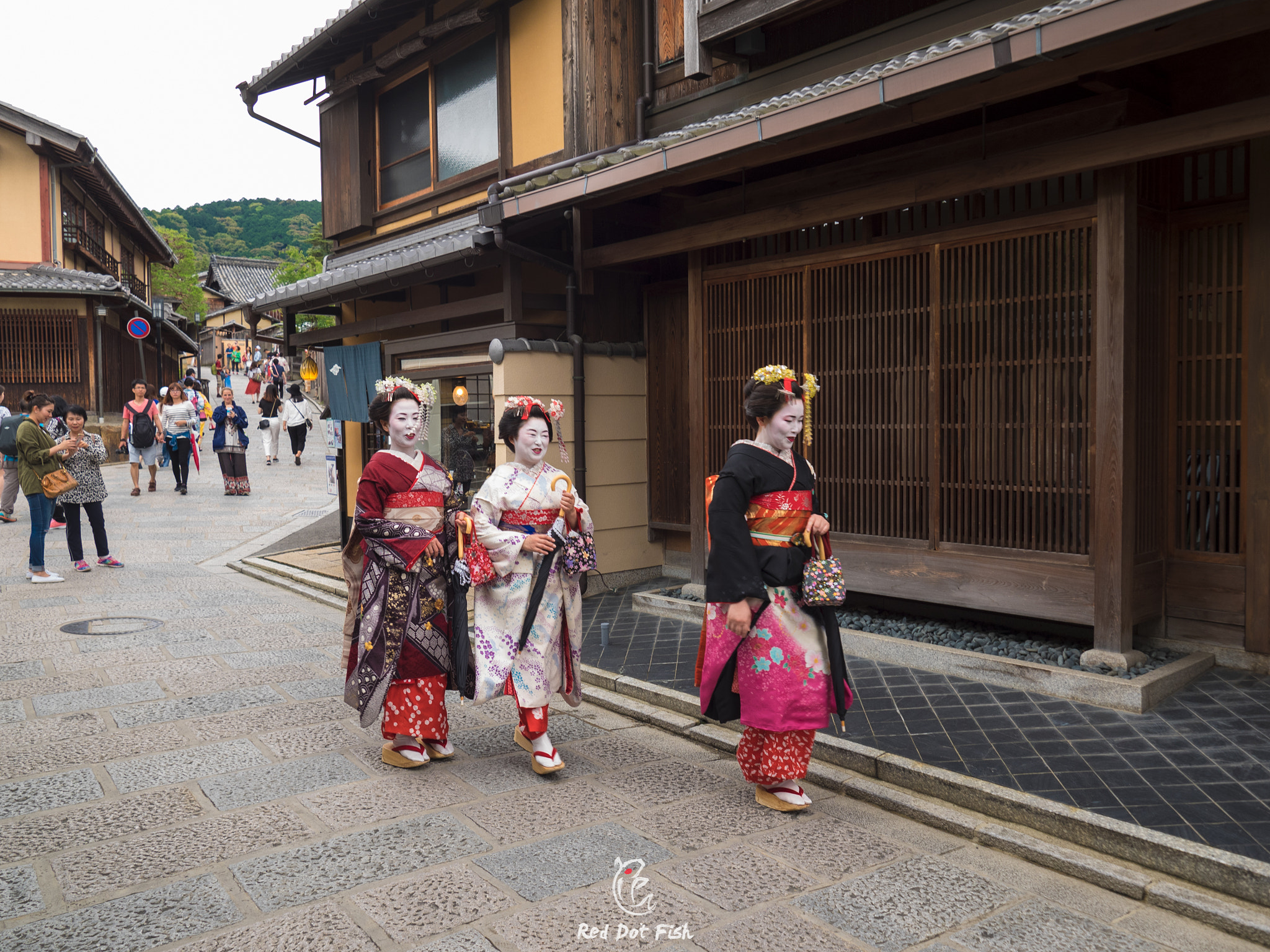 Olympus OM-D E-M1 sample photo. Geisha's smile photography