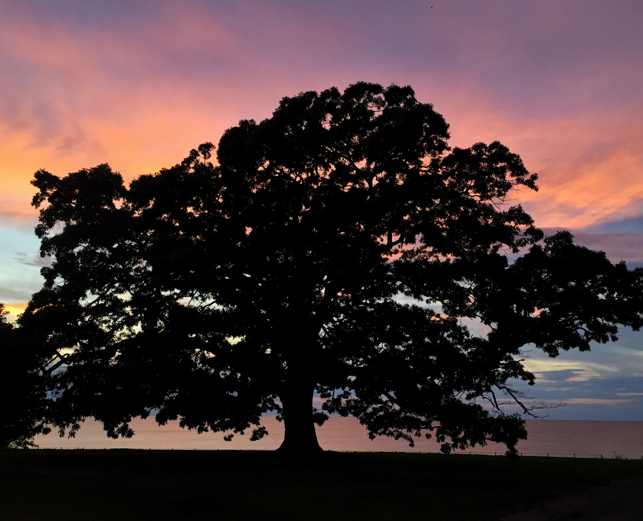 Apple iPhone7,2 sample photo. Sunset on lake erie in ashtabula, oh. photography