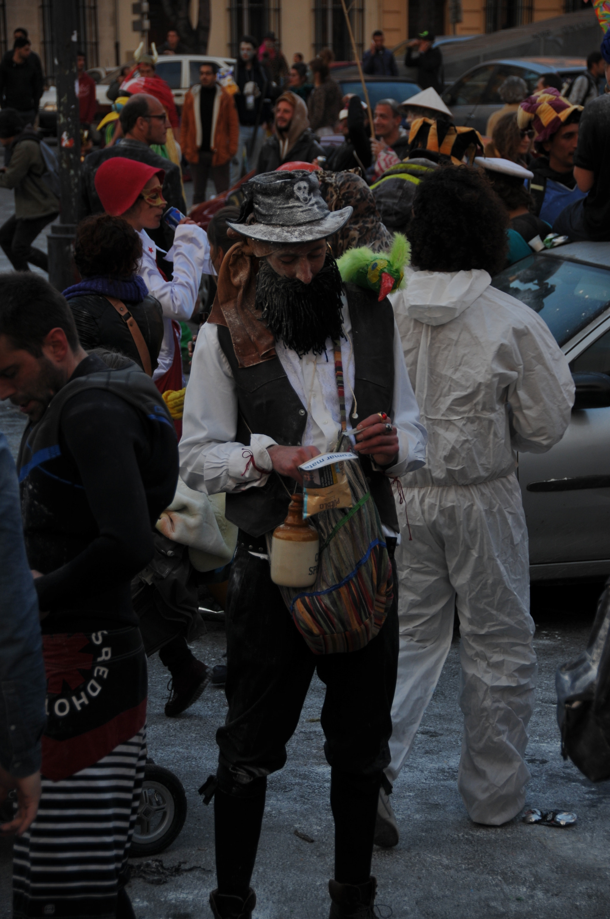 Nikon D300S sample photo. Carnaval indépendant de la plaine et noailles 2017 photography