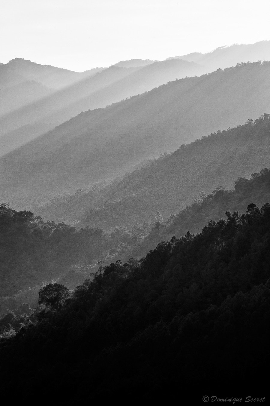 Canon EF 70-200mm F2.8L IS USM sample photo. Fifty shades of grey photography