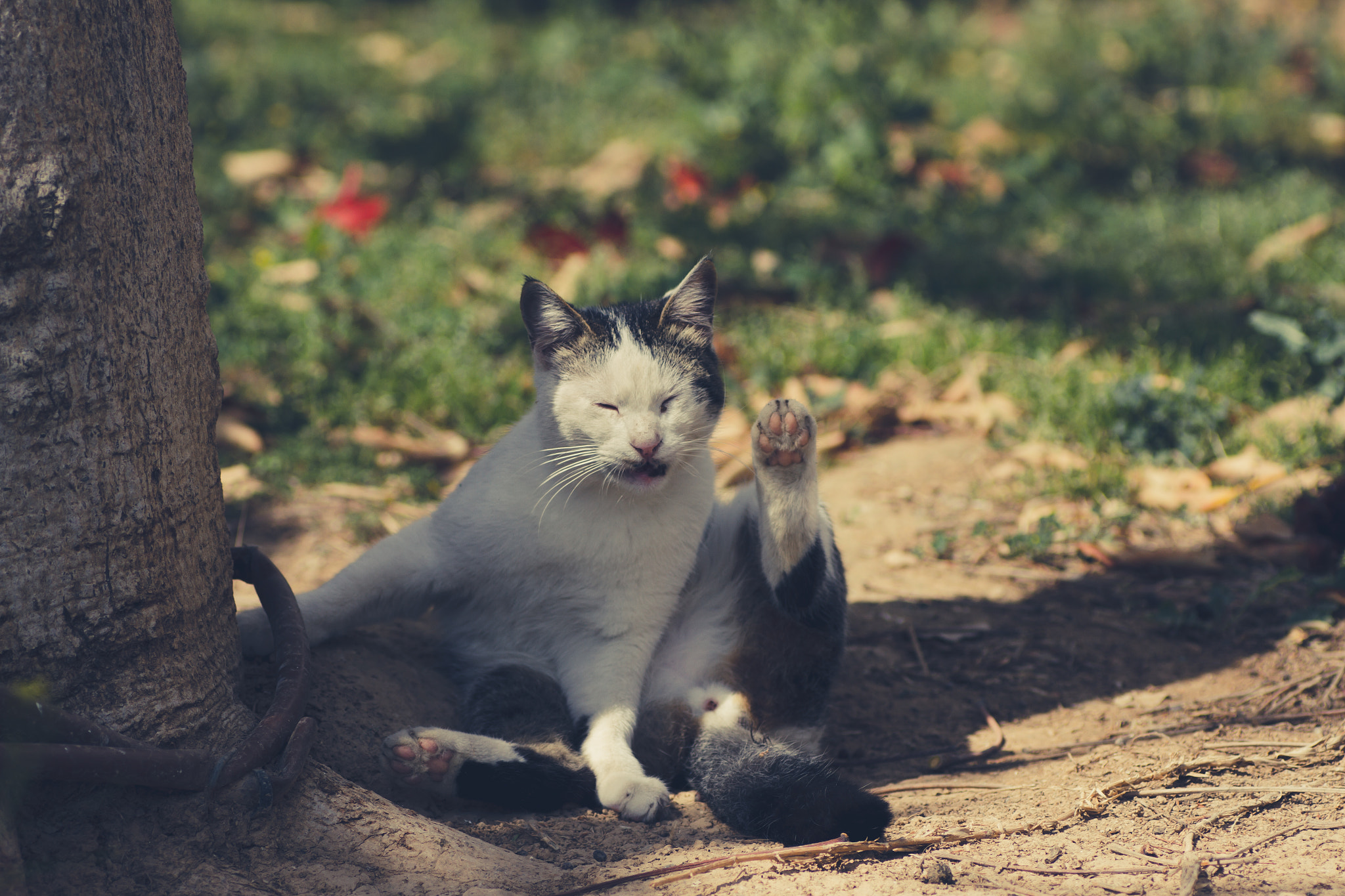 Canon EOS 7D + Tamron SP AF 90mm F2.8 Di Macro sample photo. "high five with my legs human" photography