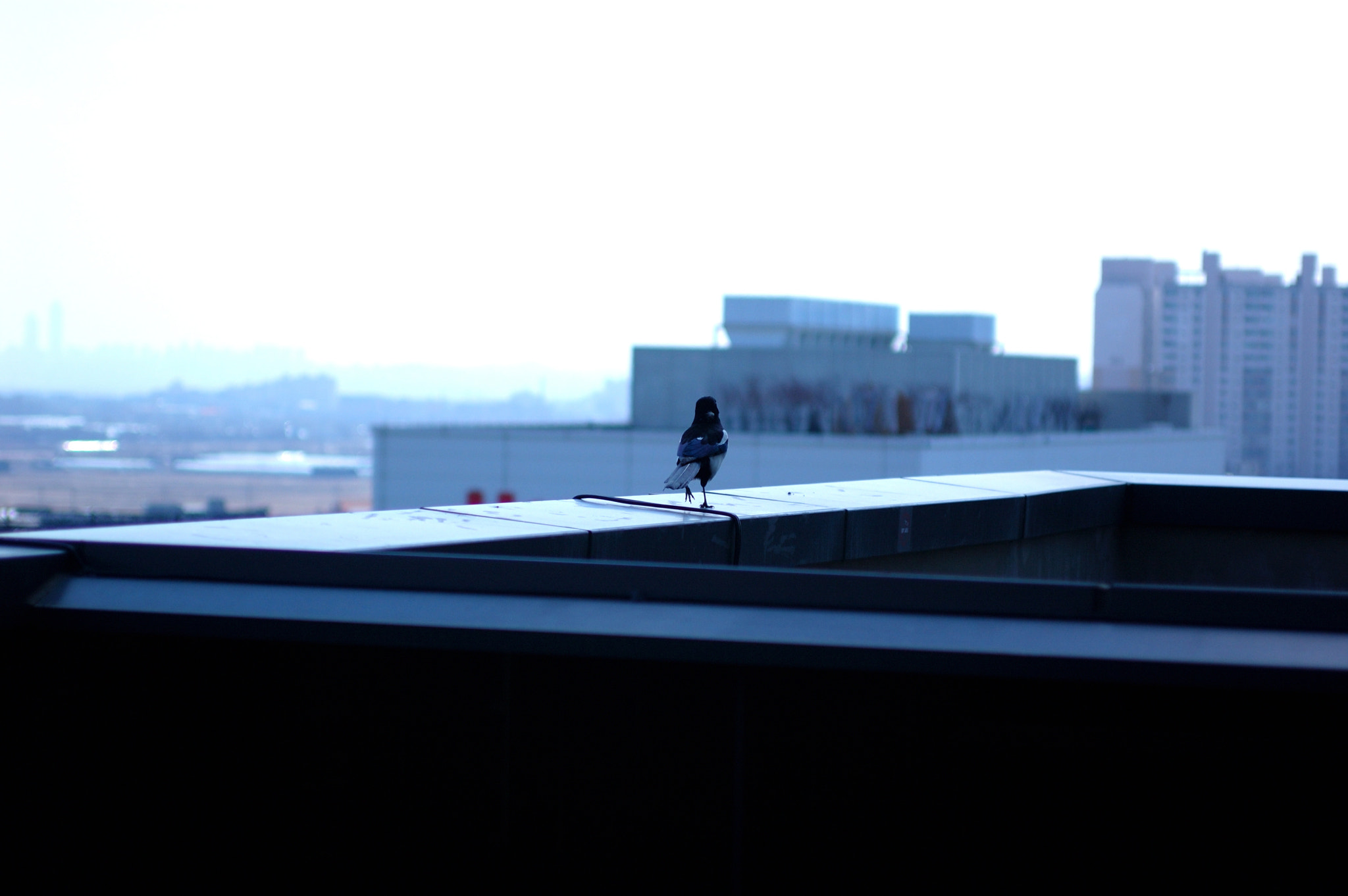 Nikon D50 + AF Zoom-Nikkor 35-70mm f/2.8D sample photo. 일의 기록 photography