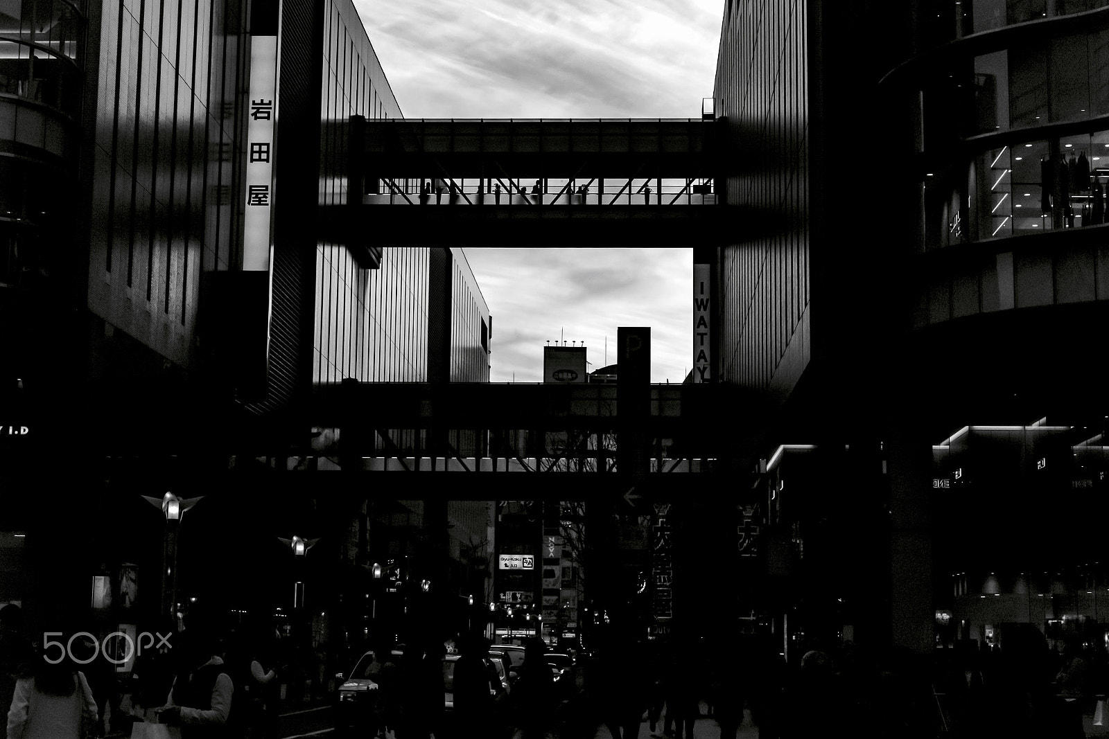 Summicron-M 50mm f/2 (IV, V) sample photo. Shadows.... photography