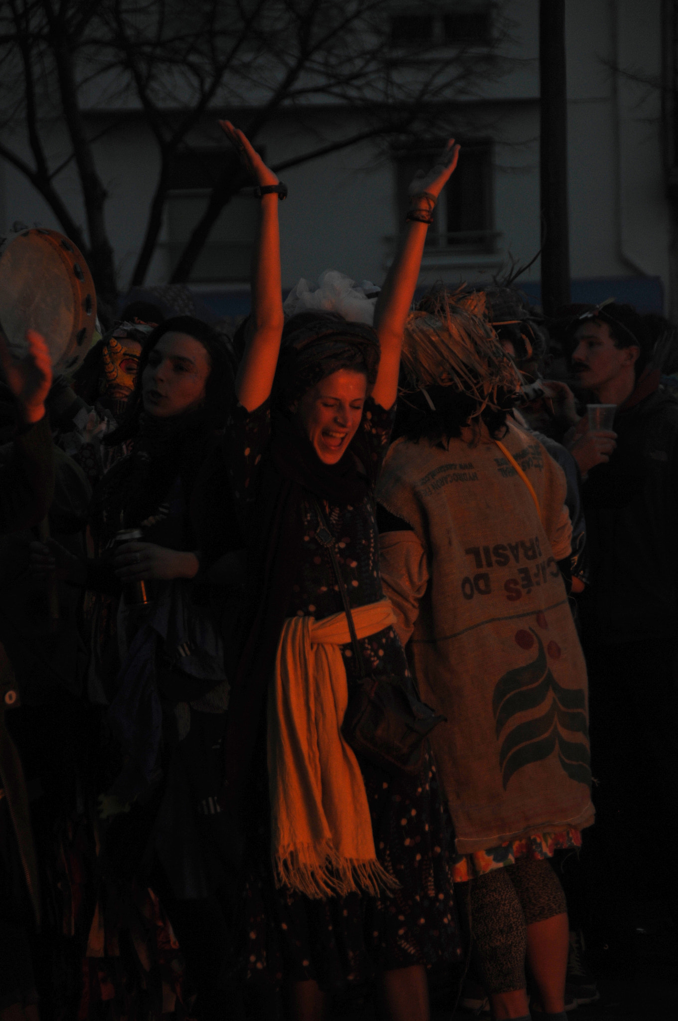 Nikon D300S sample photo. Carnaval indépendant de la plaine et noailles 2017 photography