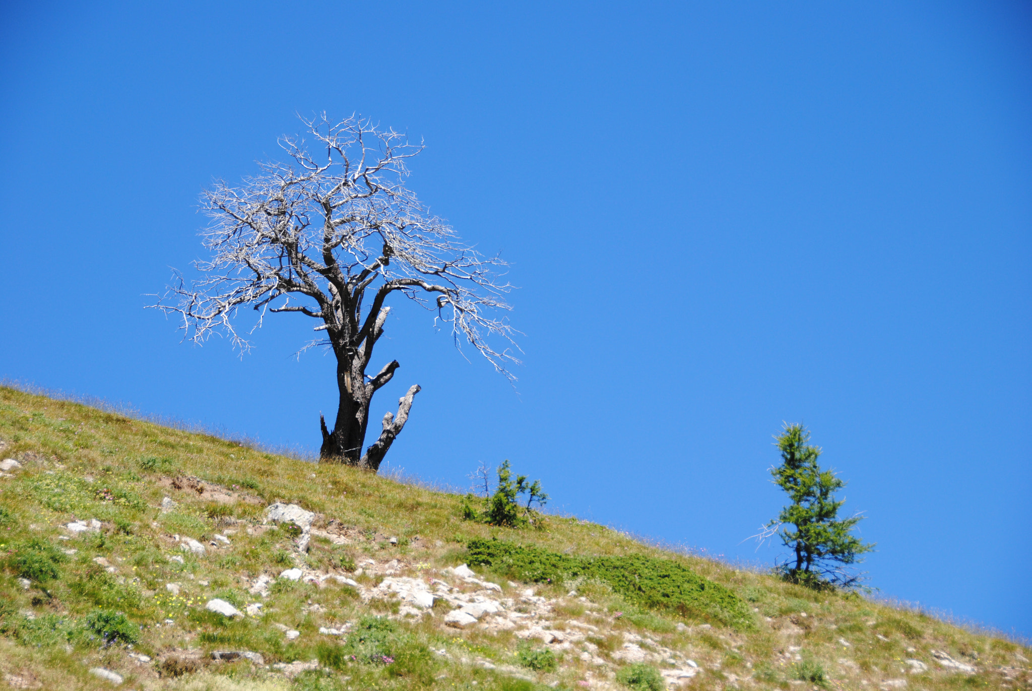 Nikon D3000 sample photo. Diagonale photography