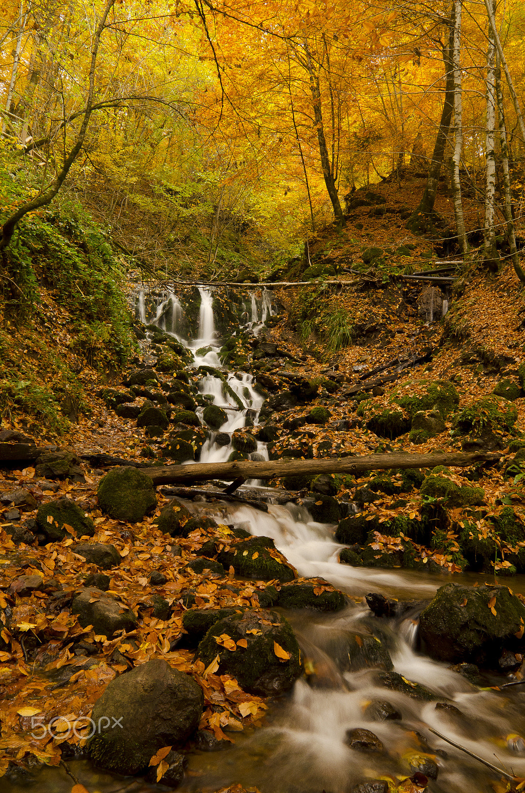 Nikon D5100 sample photo. Waterfall in autumn.jpg photography
