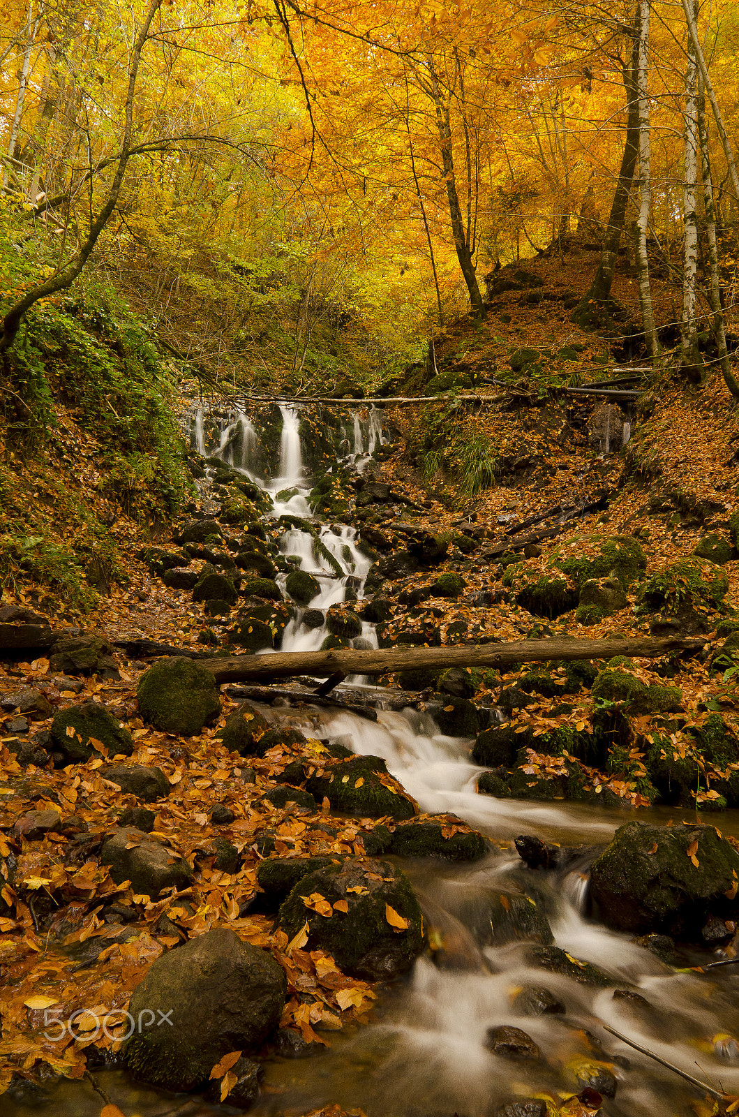 Sigma 28-300mm F3.5-6.3 DG Macro sample photo. Waterfall in autumn.jpg photography