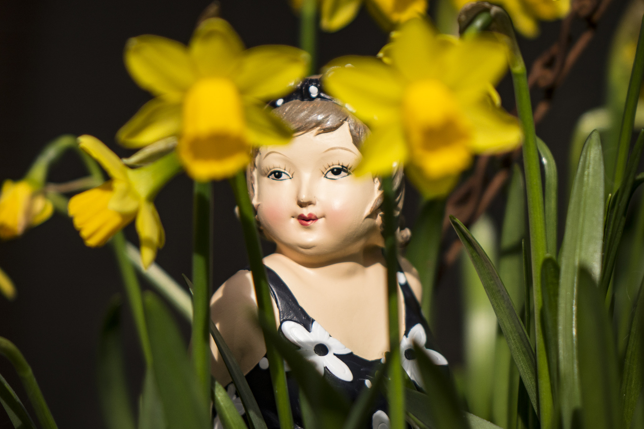 24-200mm F2.8 sample photo. Hidding in the daffs photography