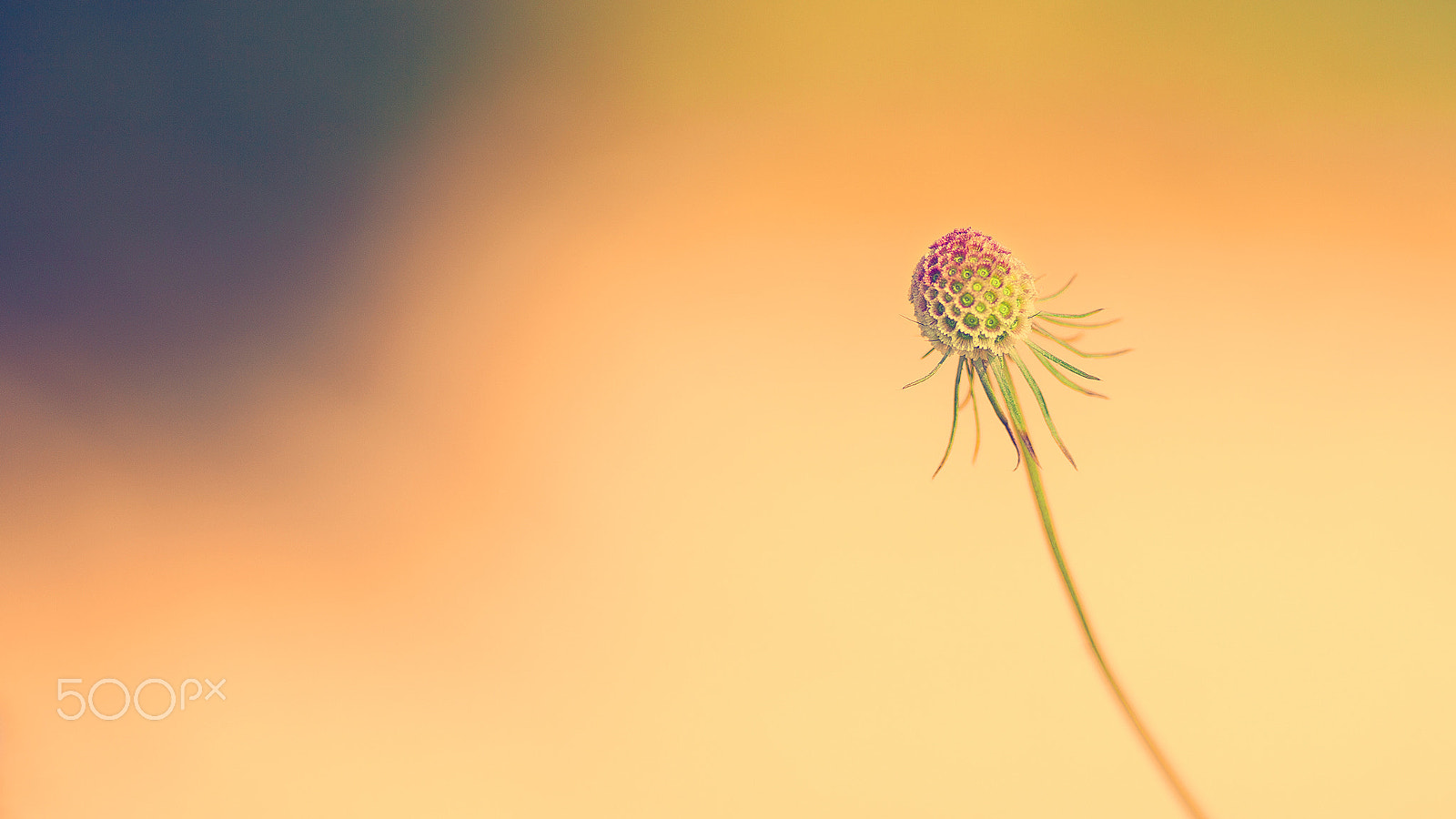 Canon EF 135mm F2L USM sample photo. Minimalism today photography
