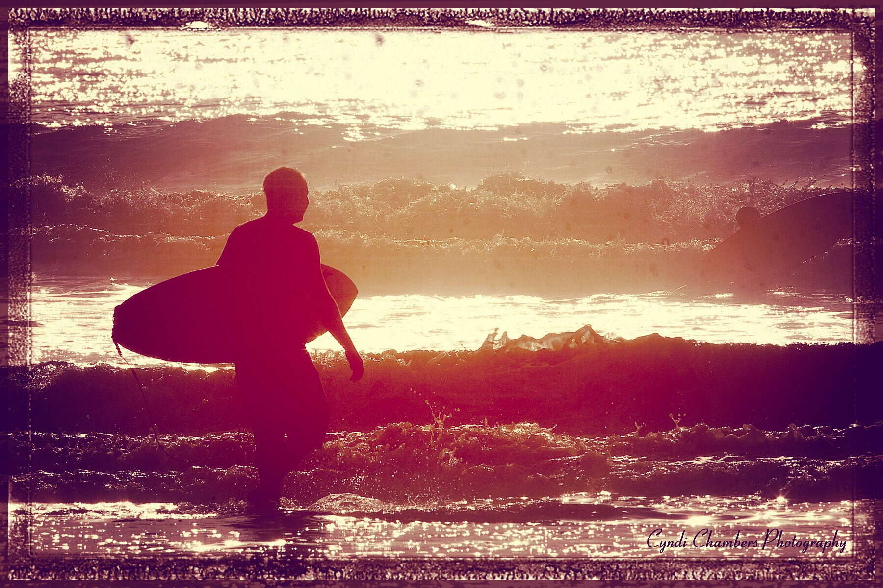 Canon EF 300mm F2.8L IS USM sample photo. Daily vitamin sea photography