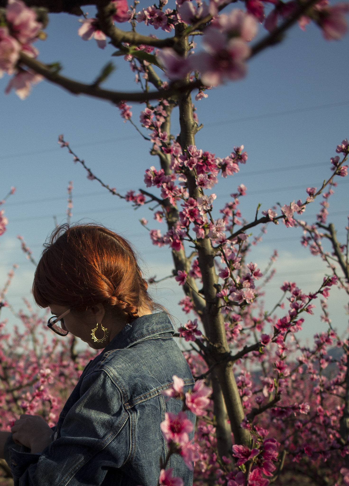 Canon EF-S 24mm F2.8 STM sample photo. Pretty photography