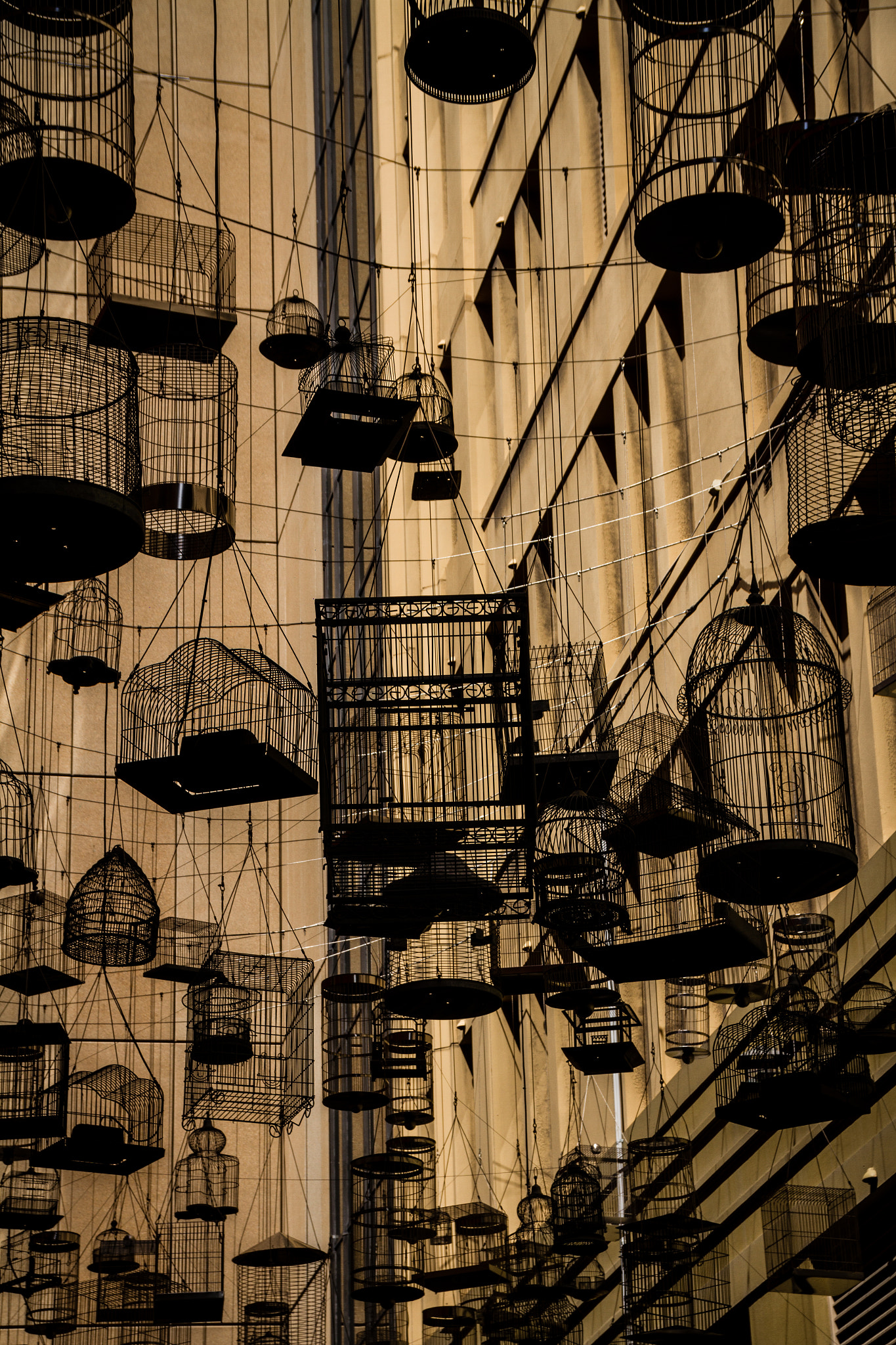 Canon EOS 7D + Sigma 18-200mm f/3.5-6.3 DC OS HSM [II] sample photo. Birdcage alley  photography