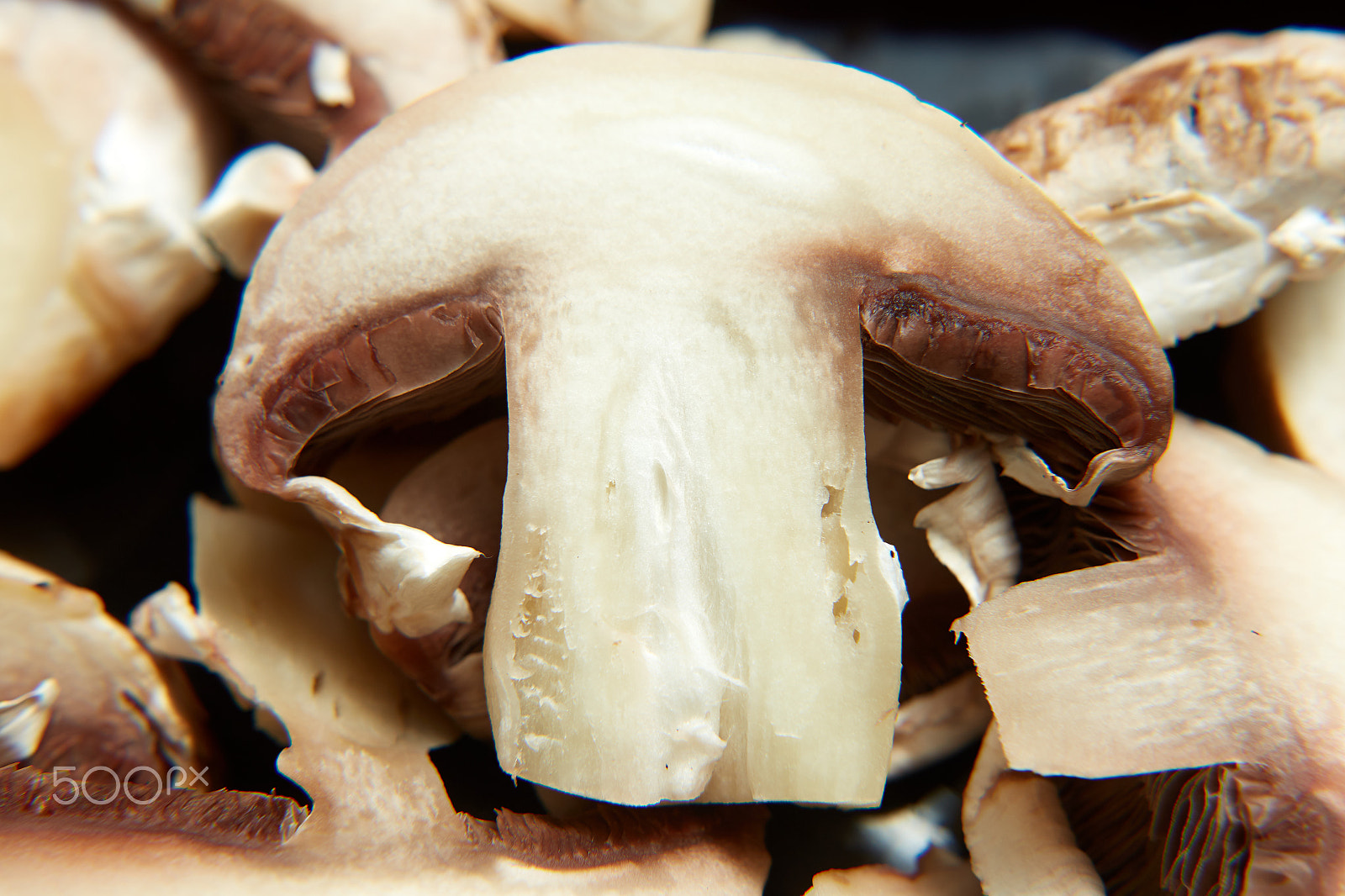 Canon EOS 6D sample photo. Raw fresh cut champignon mushrooms photography