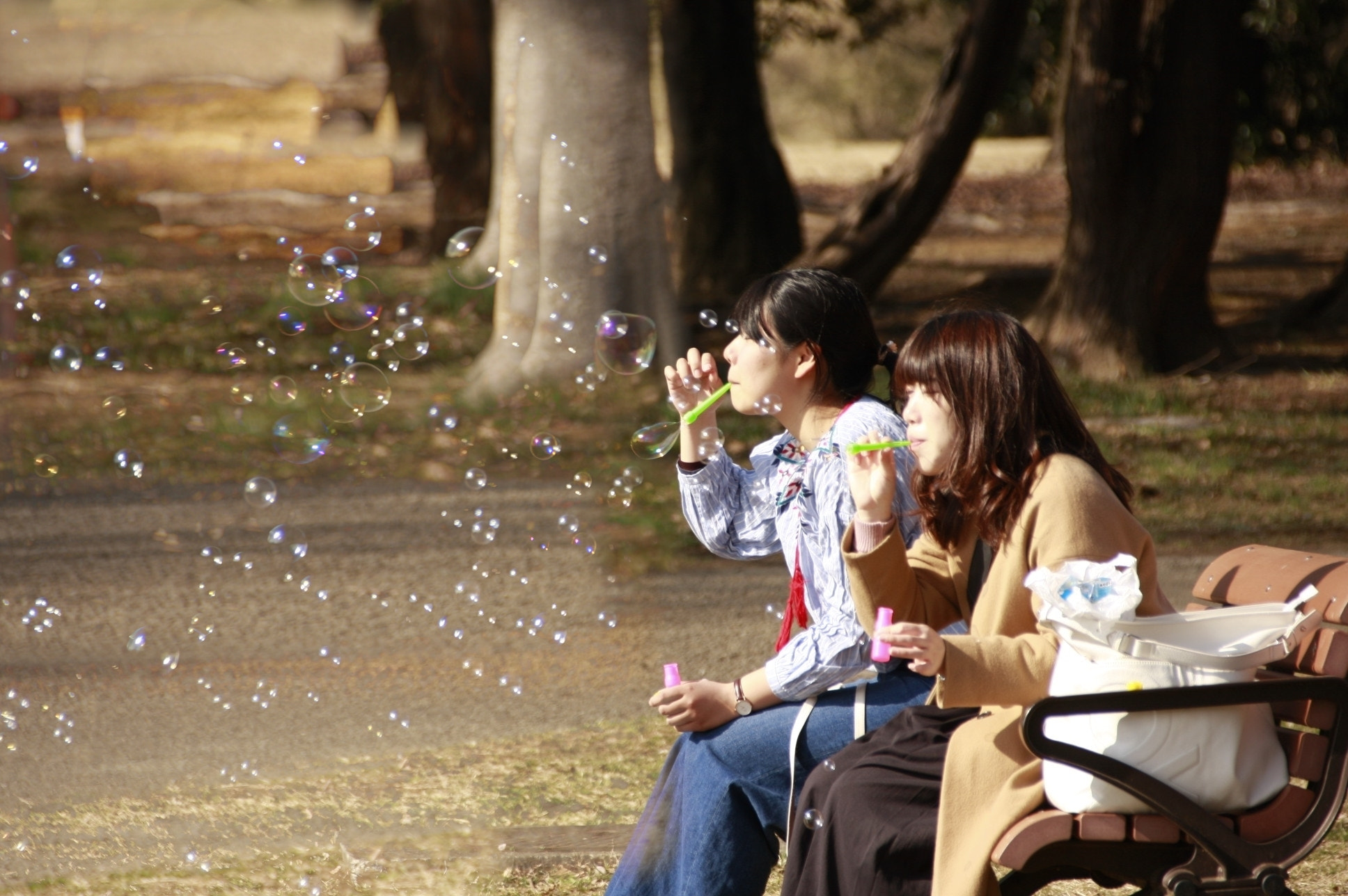 Canon EF 75-300mm F4.0-5.6 IS USM sample photo. Soap bubbles flew（昭和記念公園） photography