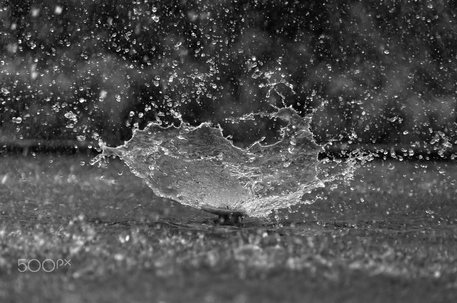 Sigma 18-250mm F3.5-6.3 DC Macro OS HSM sample photo. Splash photography