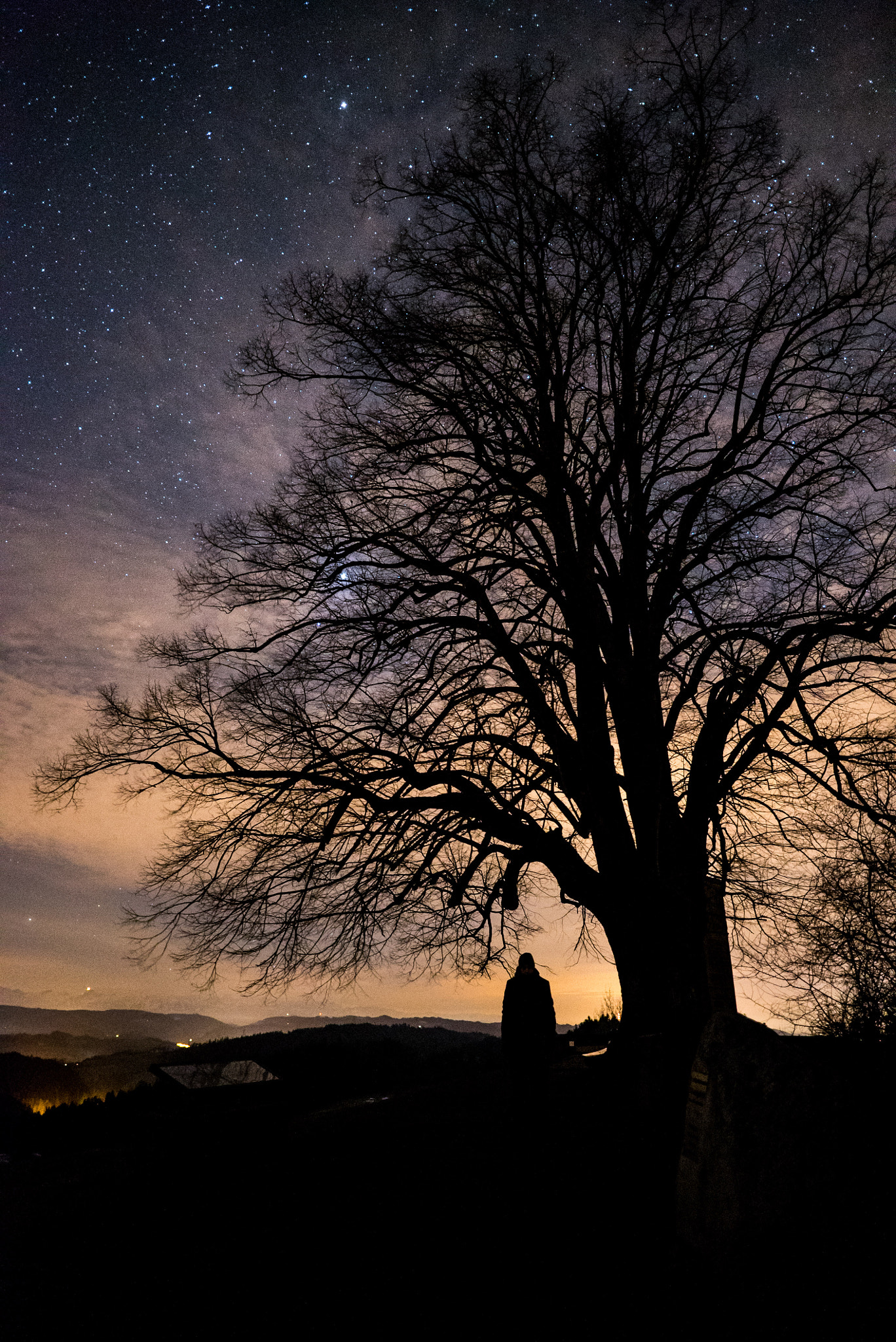 E 20mm F1.4 sample photo. Tree in front of imposing backdrop - starry sky photography