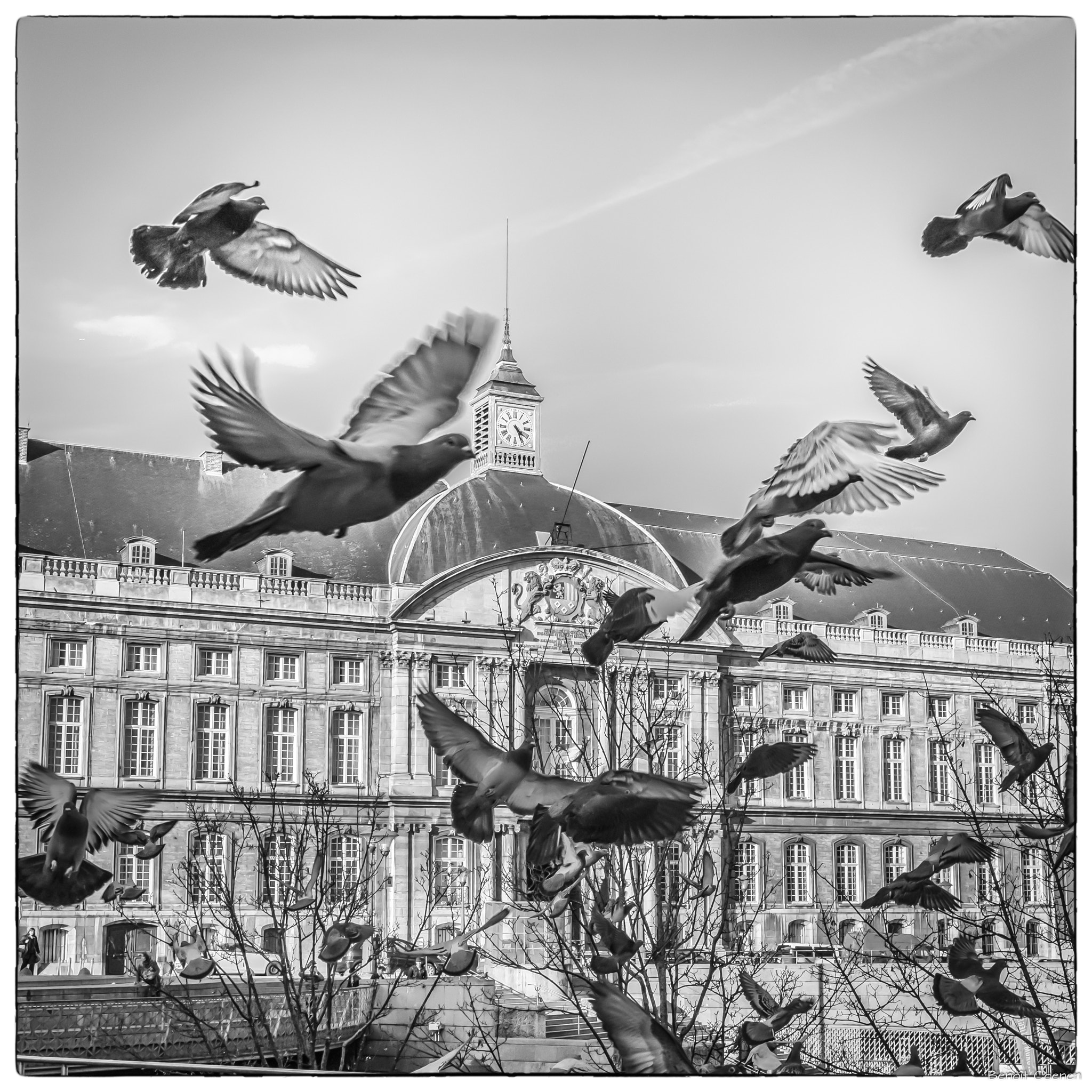 Sigma 18-35mm F1.8 DC HSM Art sample photo. Https://www.facebook.com/coenenphoto/ photography