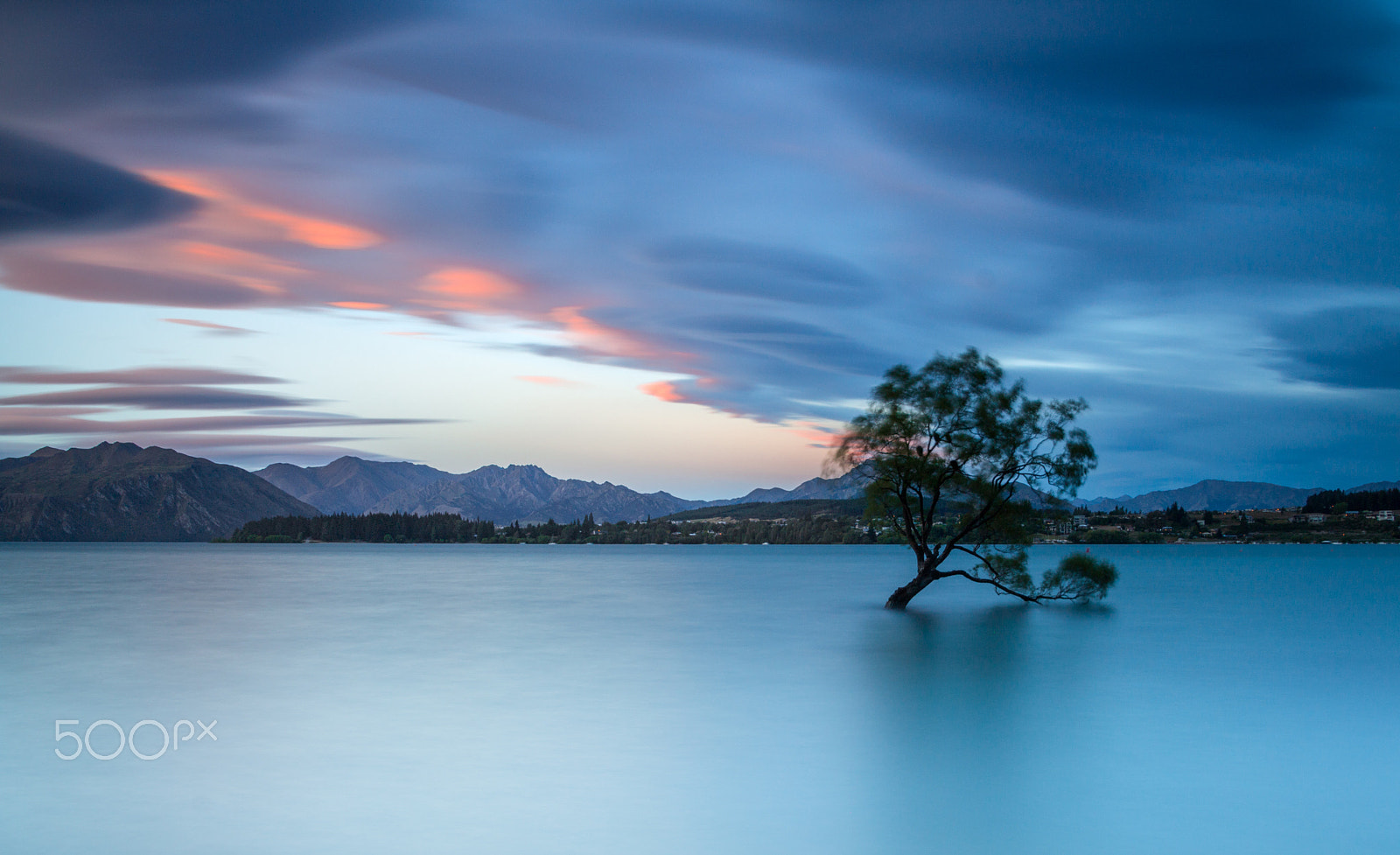 Canon EOS 70D + Tamron 18-270mm F3.5-6.3 Di II VC PZD sample photo. Wanaka tree at sunset photography