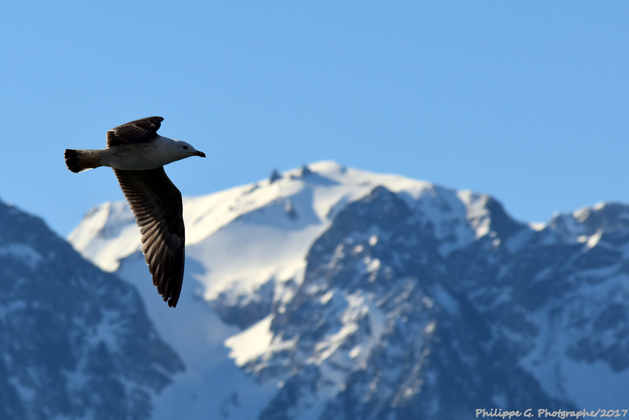 Nikon D5500 sample photo. Flying over the mountain photography