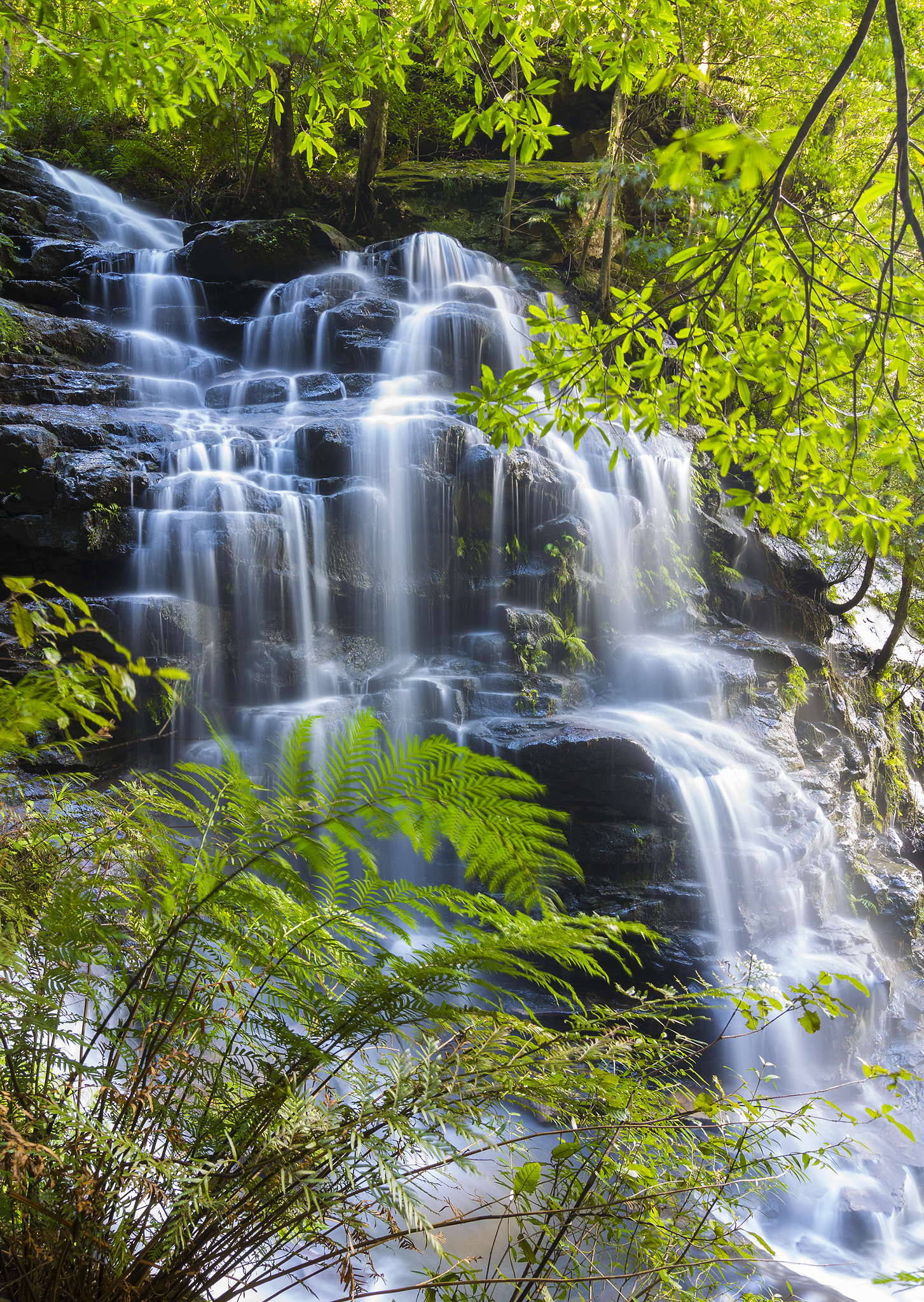 Tokina AT-X Pro 12-24mm F4 (IF) DX sample photo. Empress waterfalls photography