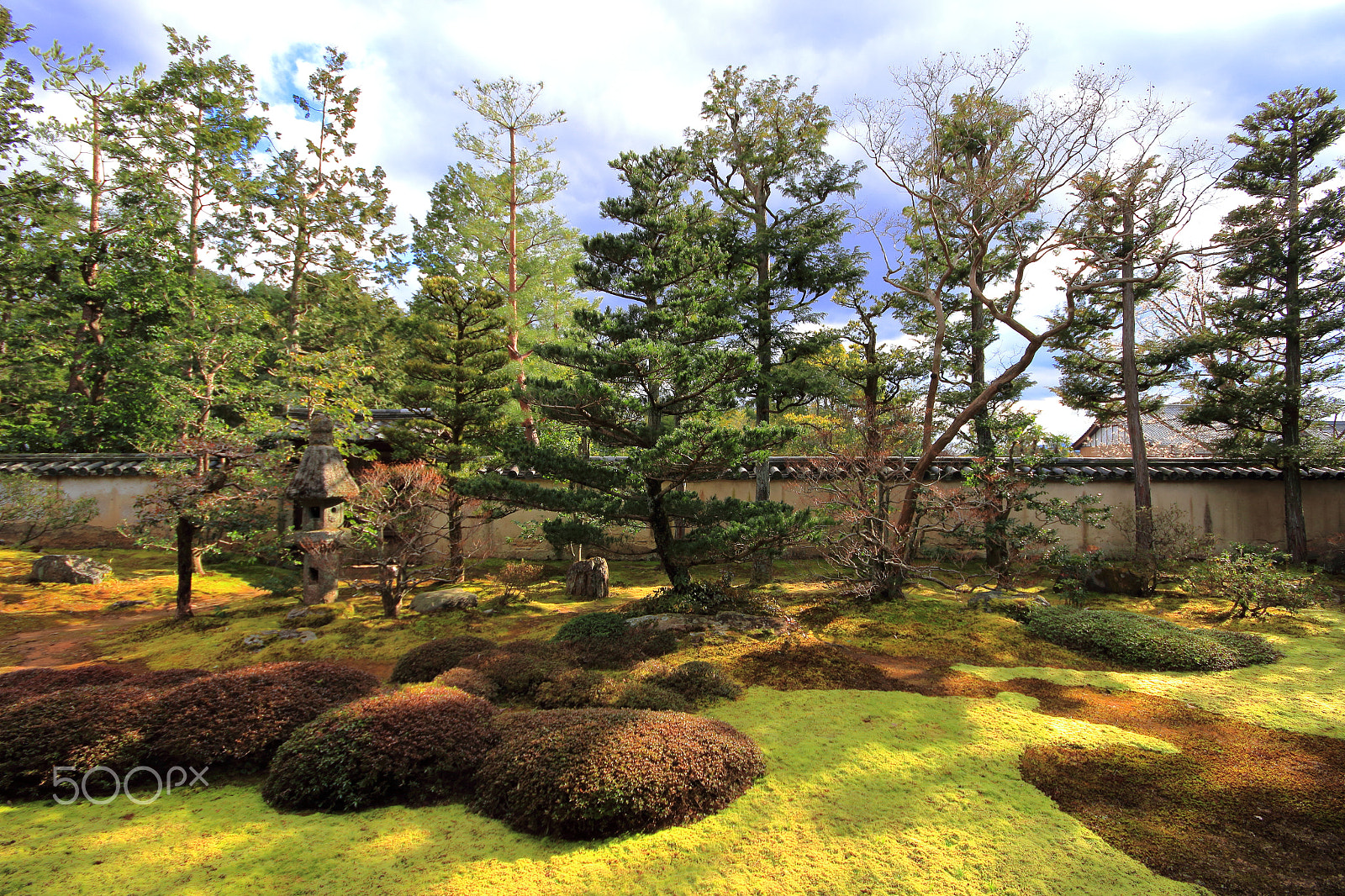 Canon EOS 100D (EOS Rebel SL1 / EOS Kiss X7) + Sigma 10-20mm F4-5.6 EX DC HSM sample photo. Moss garden photography