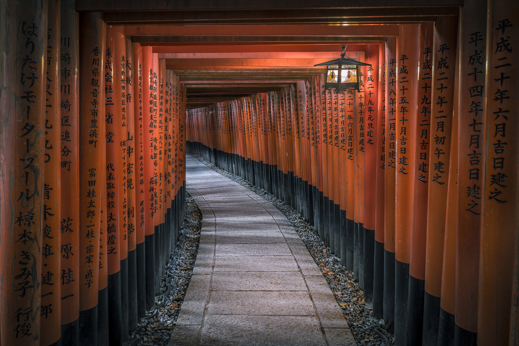 Sony a6000 + Sony E 10-18mm F4 OSS sample photo. Red path photography
