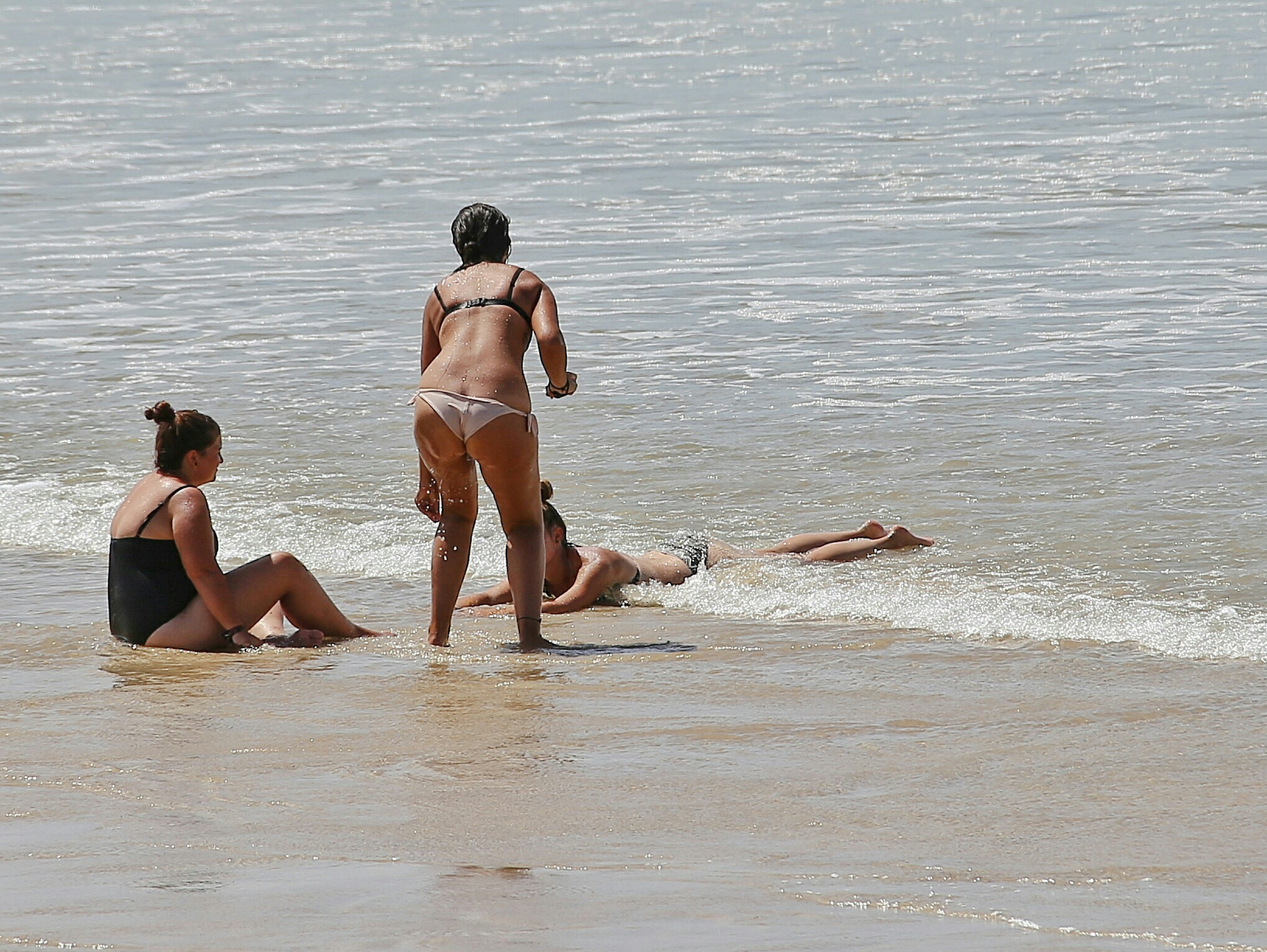 Canon EF 28-300mm F3.5-5.6L IS USM sample photo. Foreshore frolic. photography