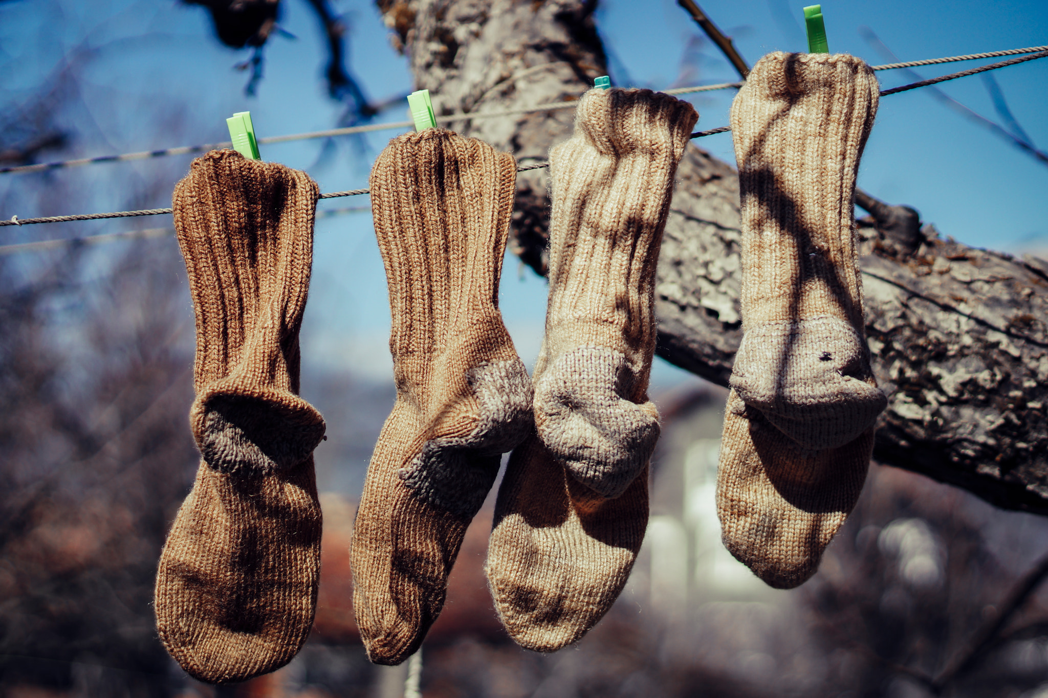 Sony SLT-A77 + Minolta AF 50mm F1.4 [New] sample photo. Four socks in a row photography
