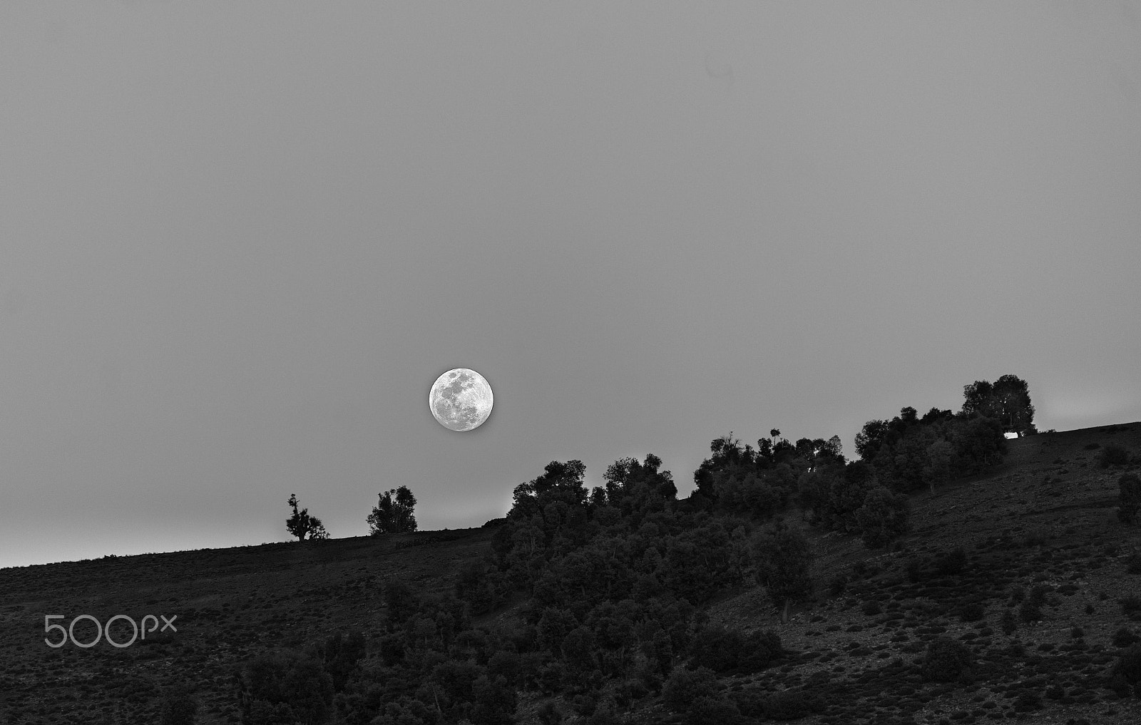 Nikon D700 sample photo. Moonrise photography