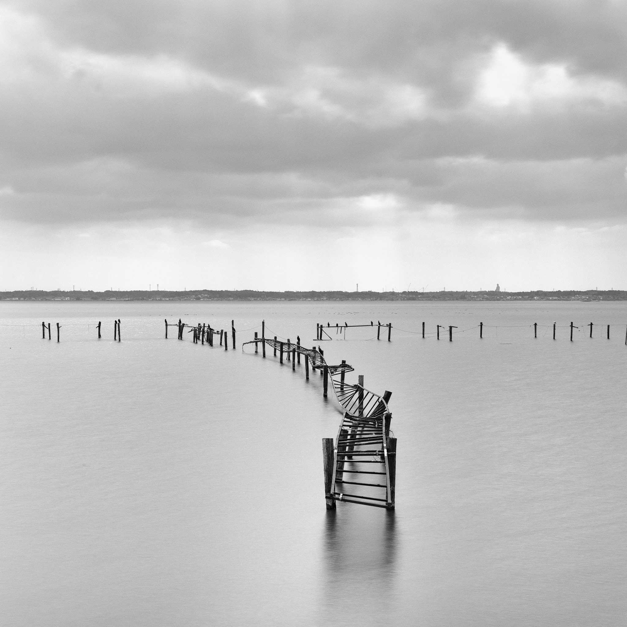 Fujifilm GF 32-64mm F4 R LM WR sample photo. Untitled©nicholas j hall edit photography