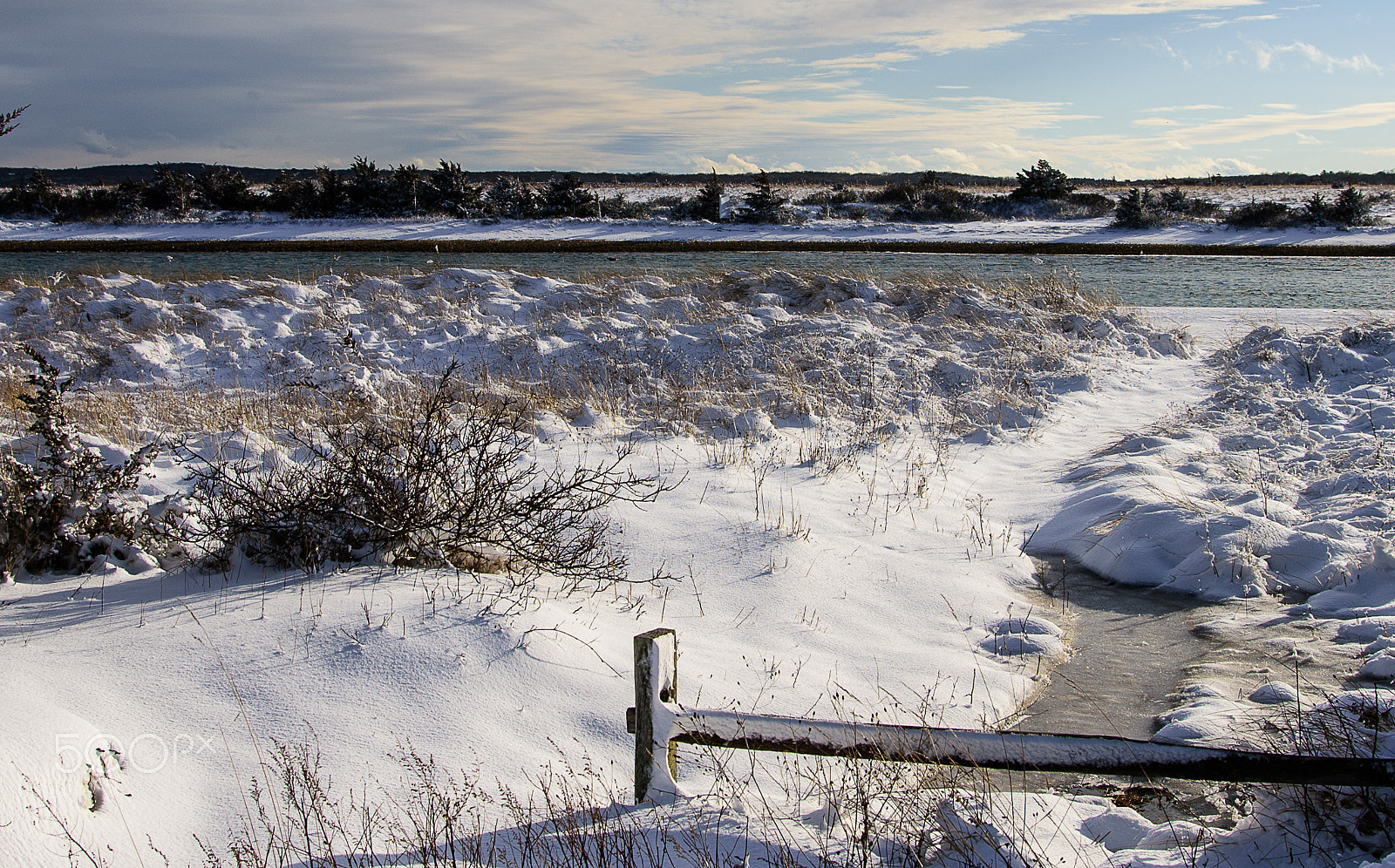 Nikon D810 sample photo. Spring snow photography