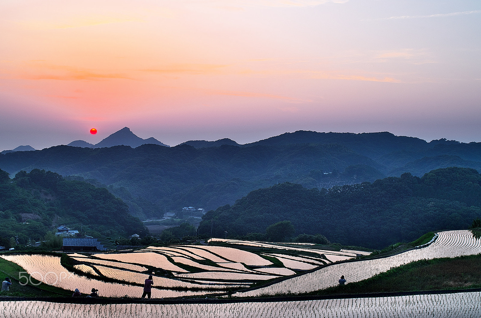 Pentax K-50 sample photo. Sunset and rice plate photography