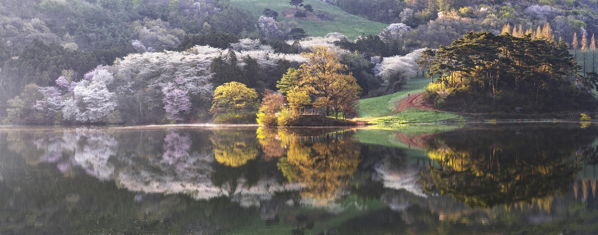 Nikon D810 sample photo. When the spring comes photography