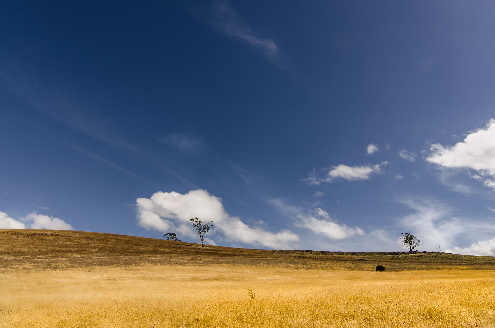 Tokina AT-X Pro 11-16mm F2.8 DX sample photo. Open fields photography