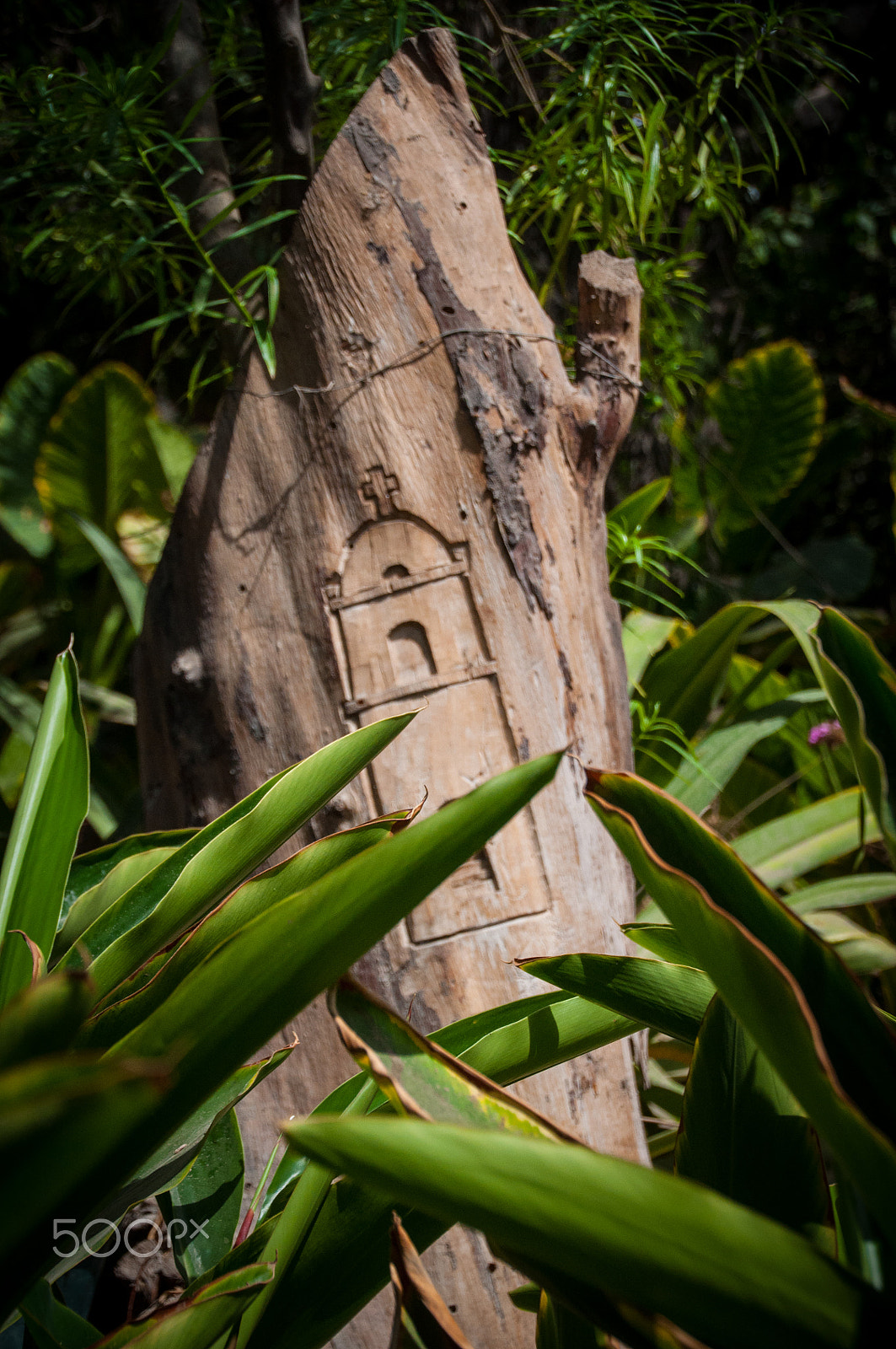 Nikon D5000 sample photo. Tallado photography